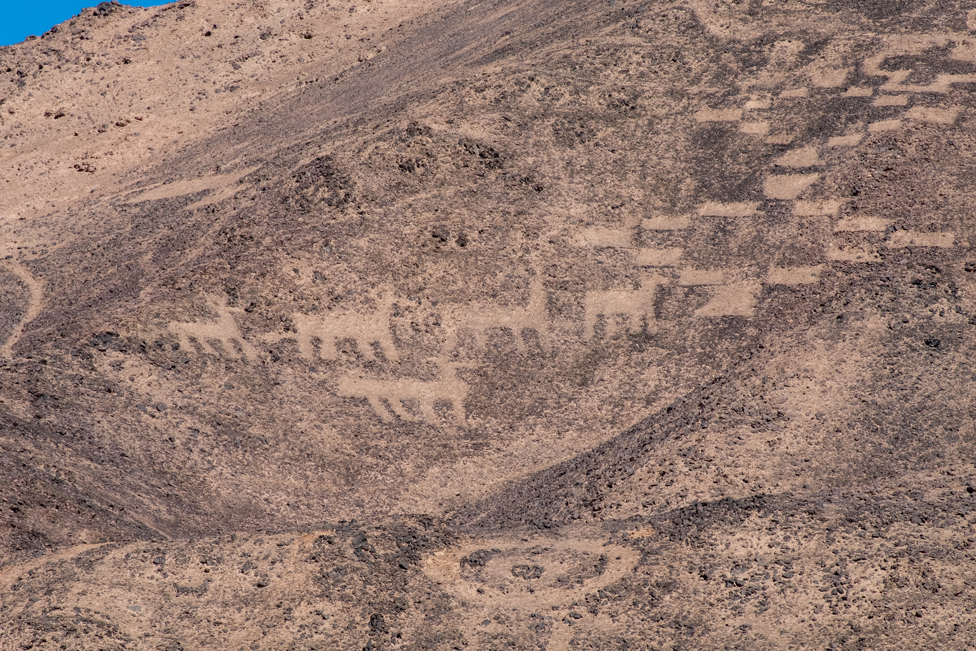 Geoglifos de Pintados