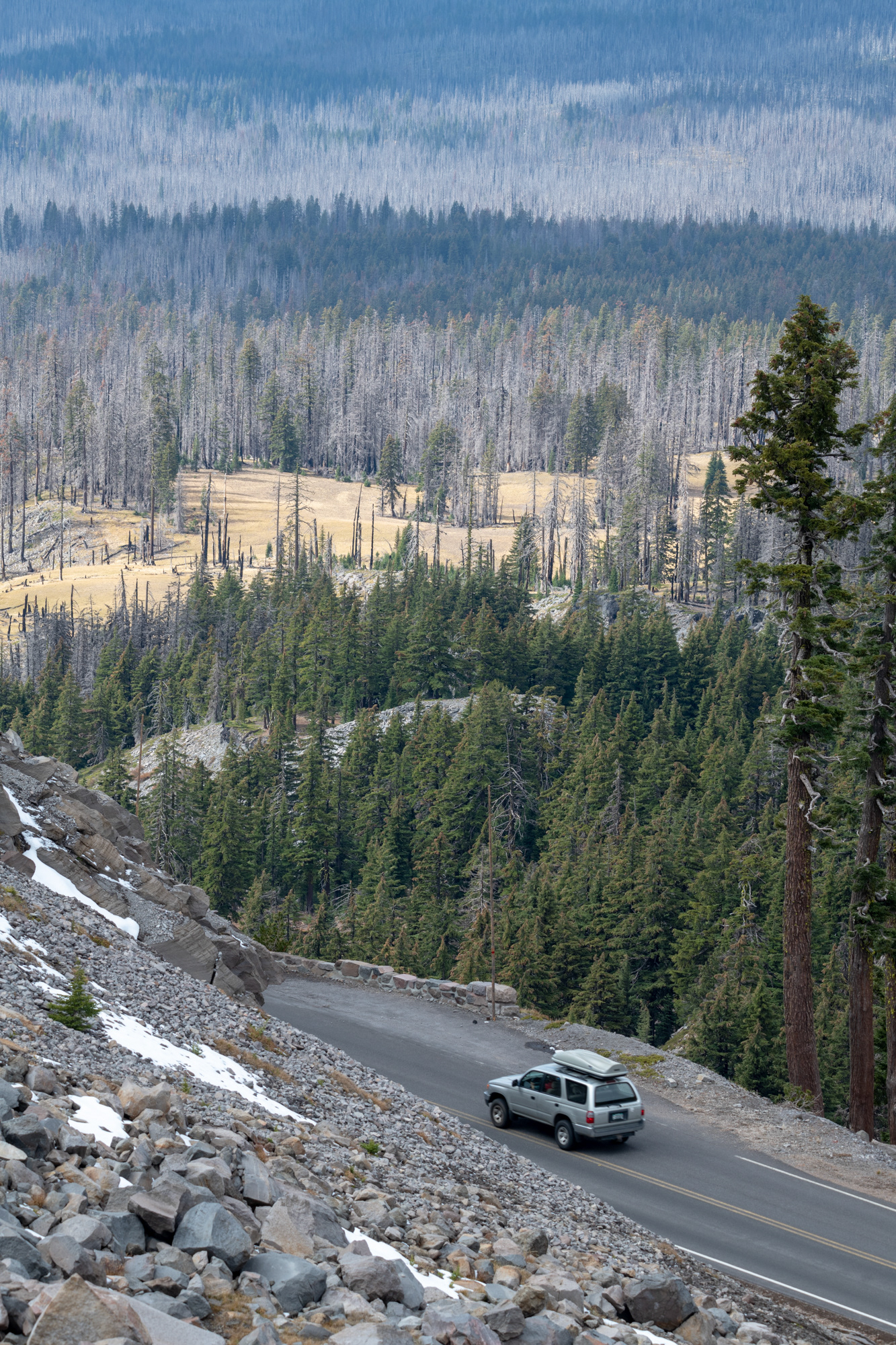 Crater Lake N.P. - trillo a The Watchman