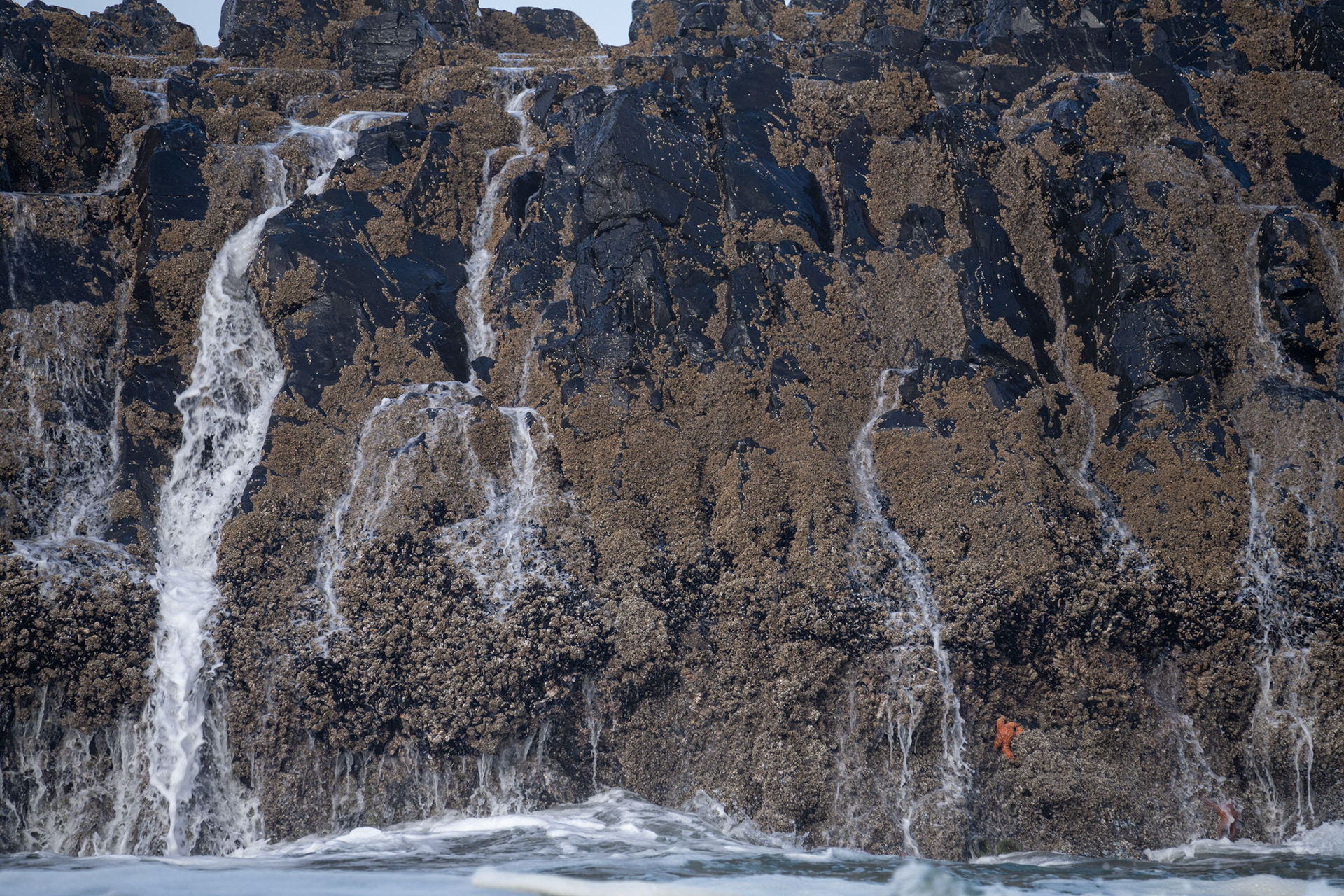 Seal Rock State Recreation Site