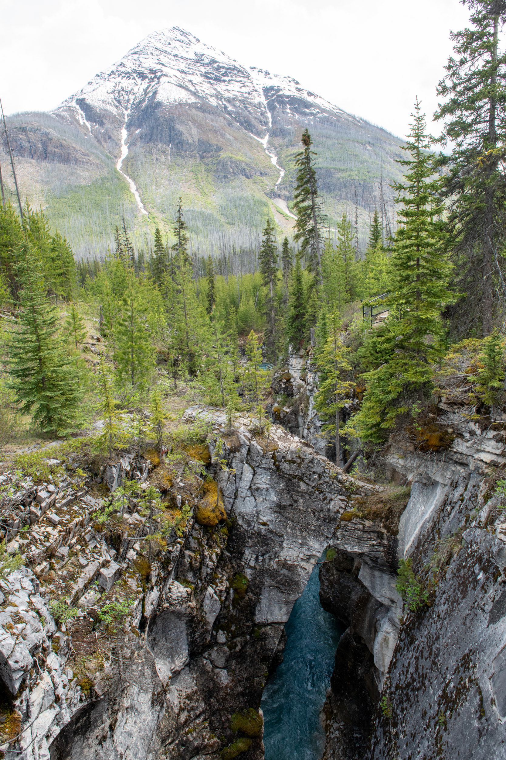 Marble Canyon (cañón) - Kootenai Nat. Park