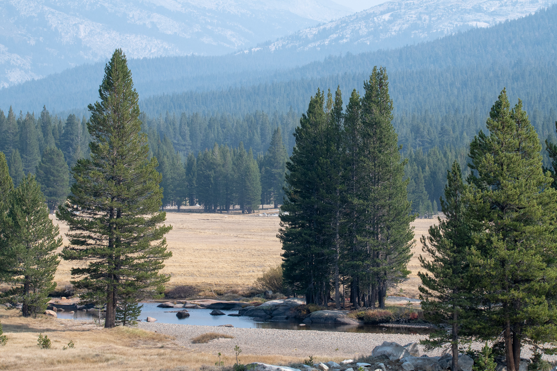 Yosemite - zona de Tuolumne Meadows
