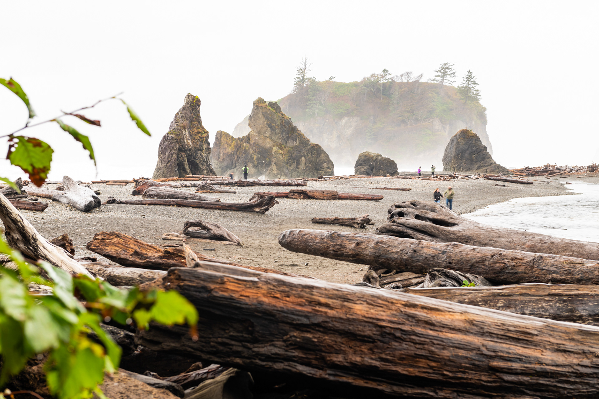 Ruby Beach - Kalaloch - Cedar creek