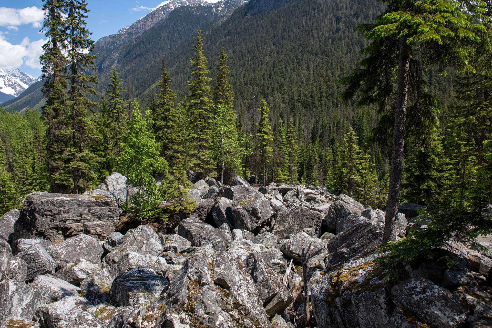 Glacier Nat. Park - "jardín de piedras" (rockgarden)