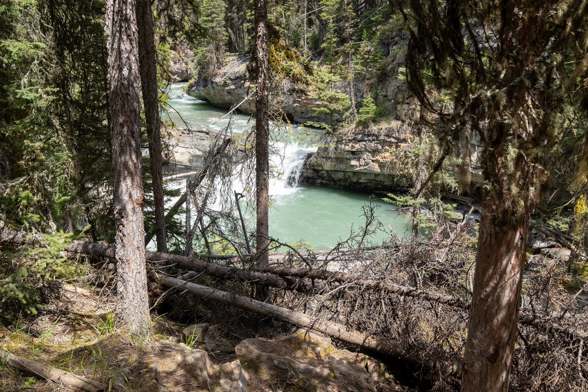 Johnston Canyon