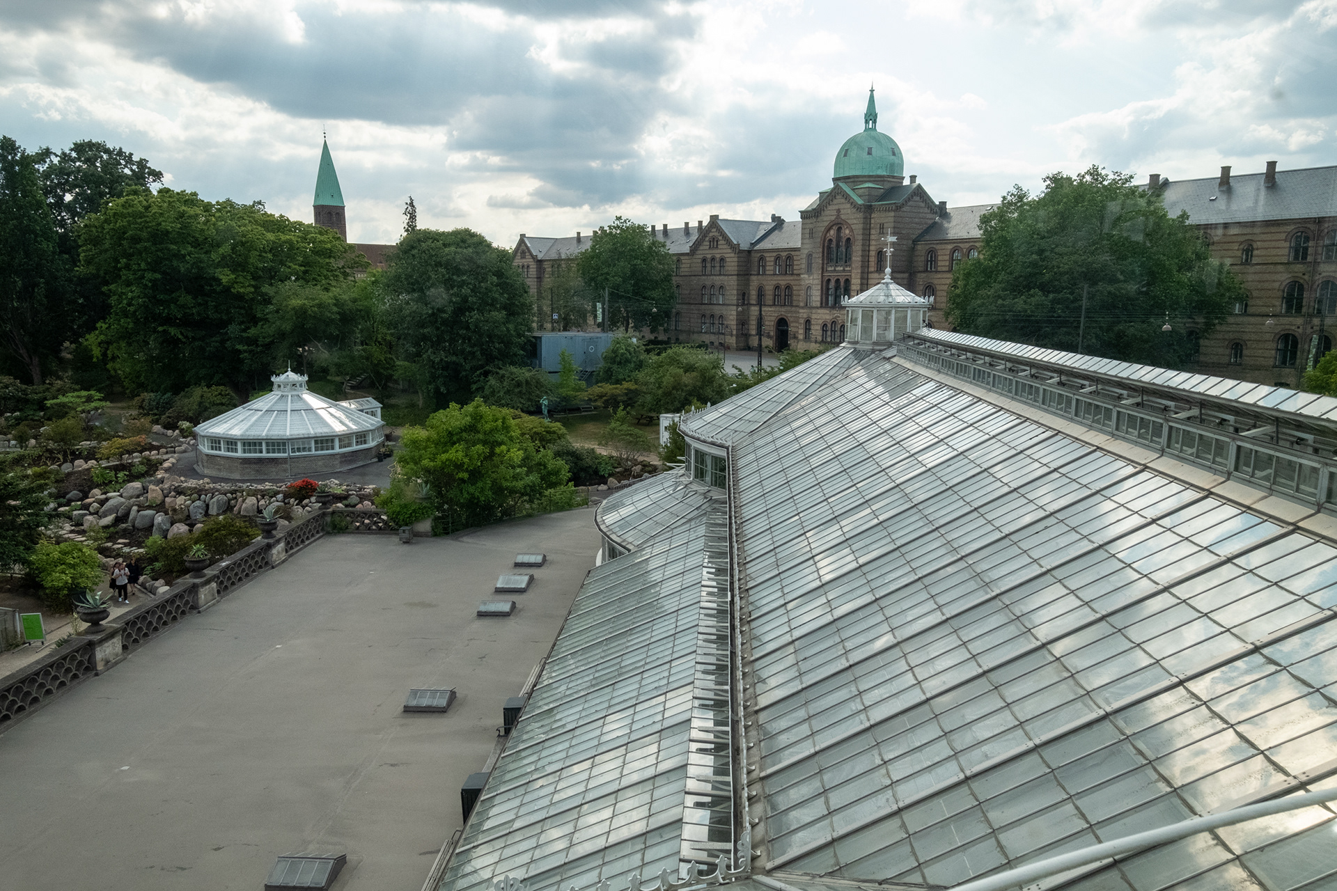 Jardín botánico - casa de palmeras