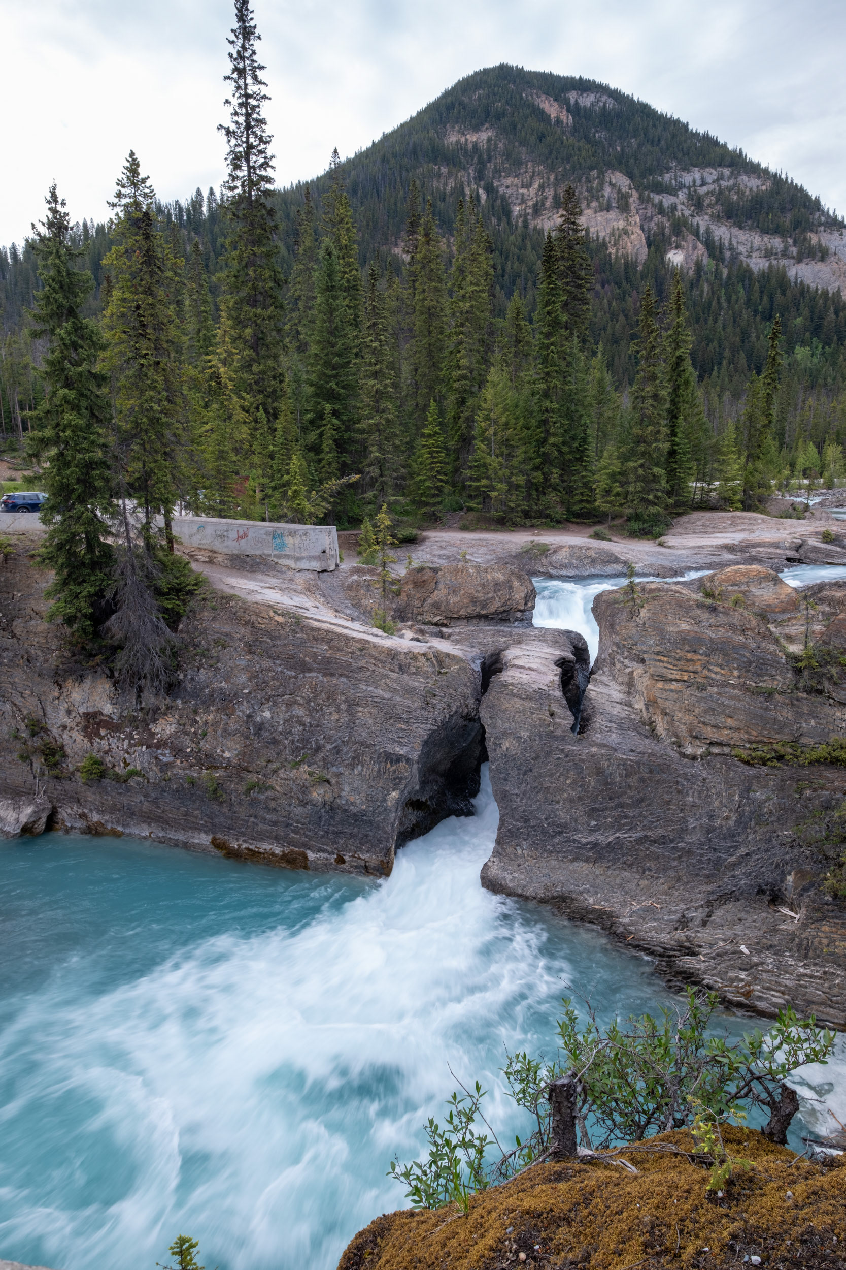 Puente Natural - Río Kicking Horse (caballo pateador)