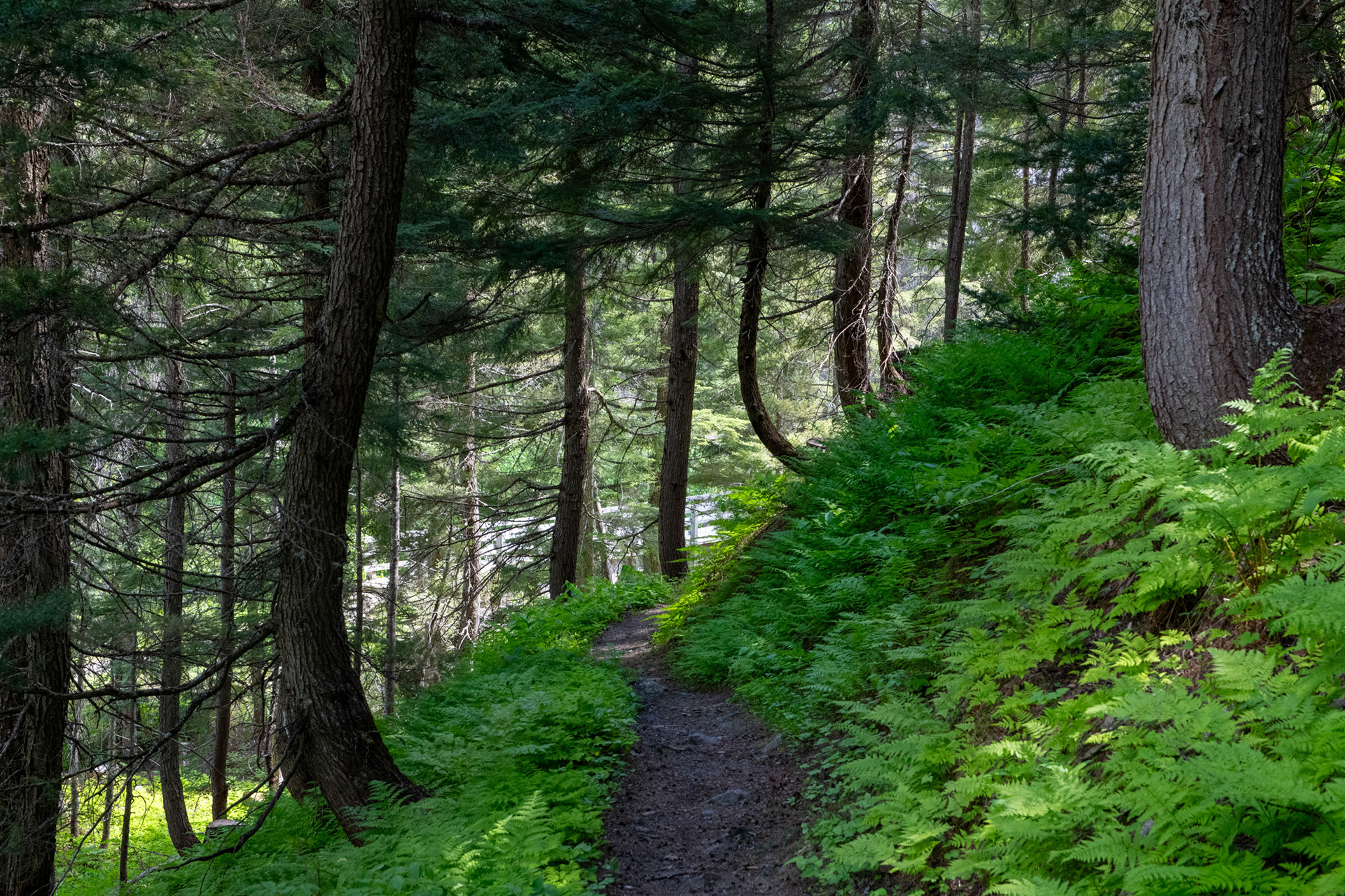 Bucle Brook - bucle para bajar en altura al tren