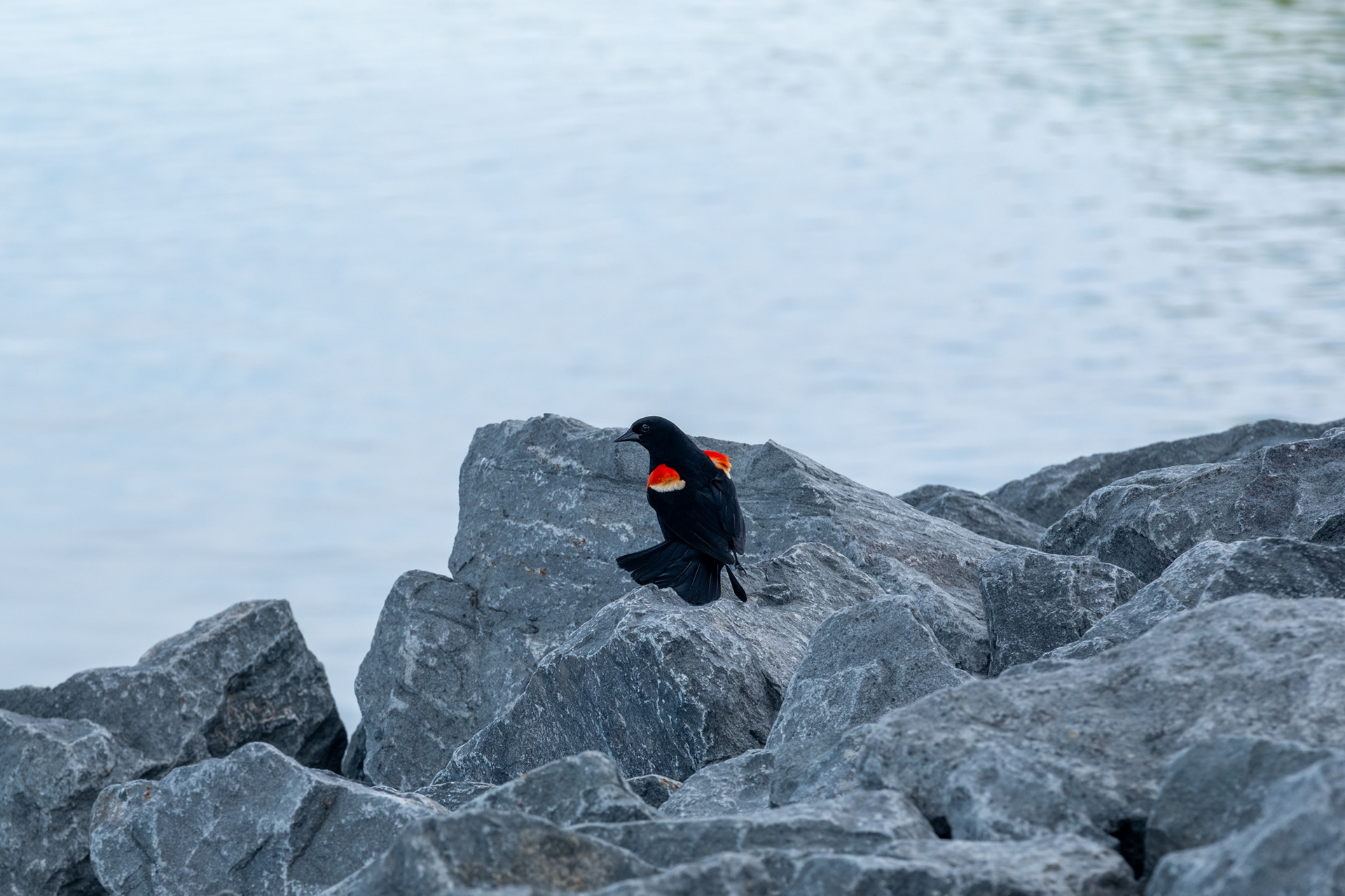 Puente Samuel De Champlain