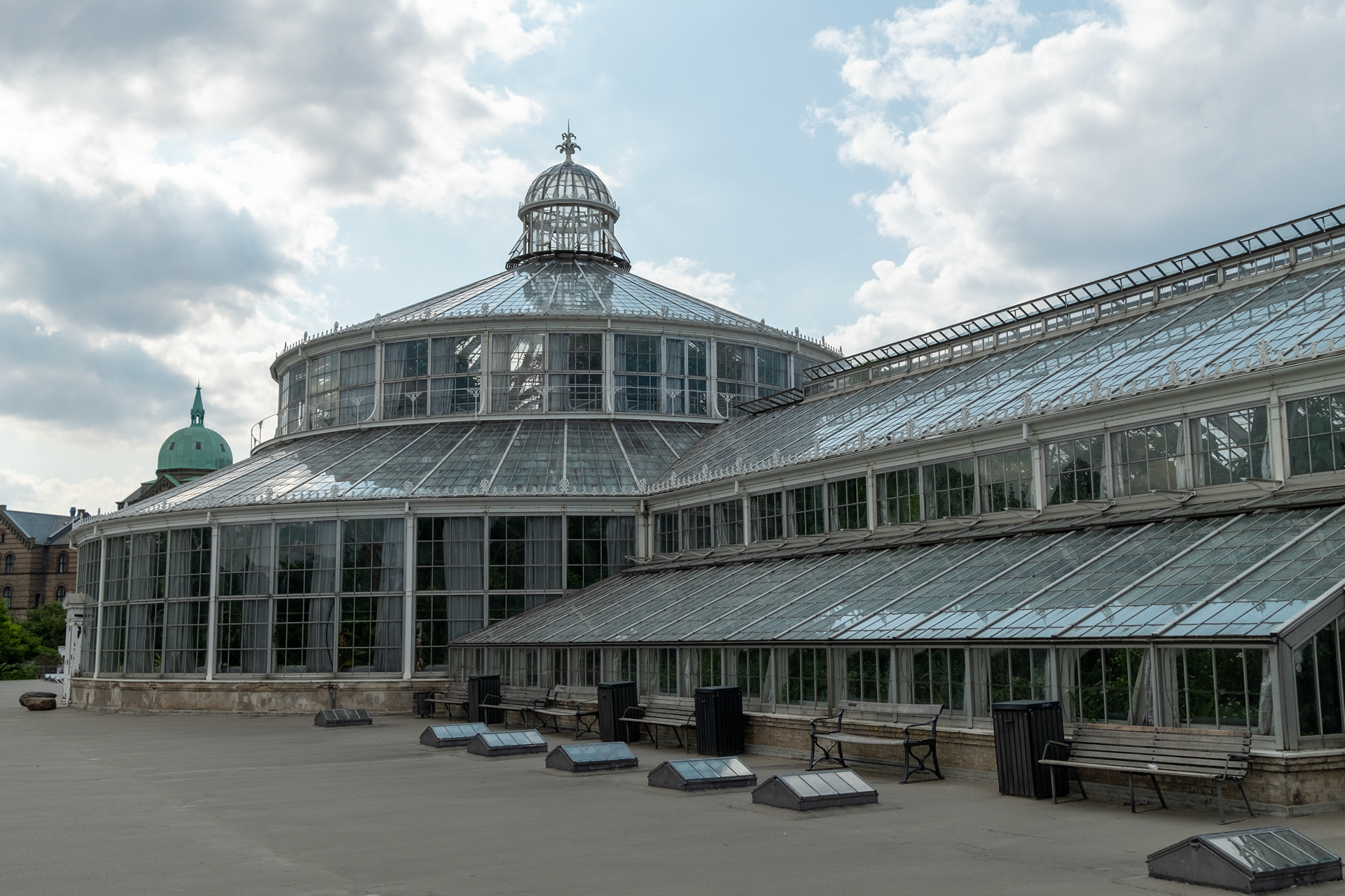 Jardín botánico - casa de palmeras