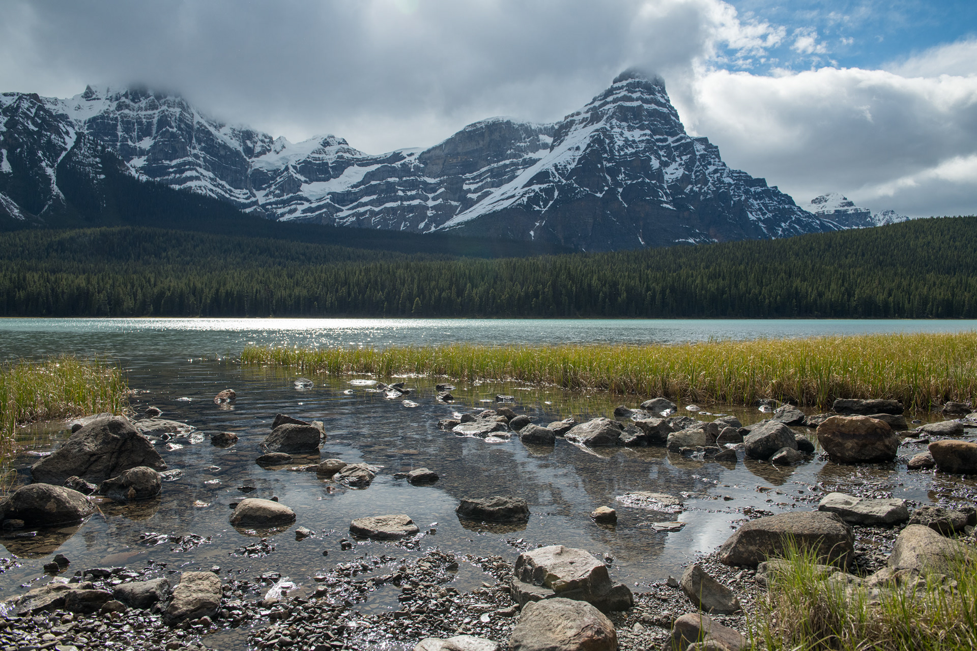 Waterfowl Lake