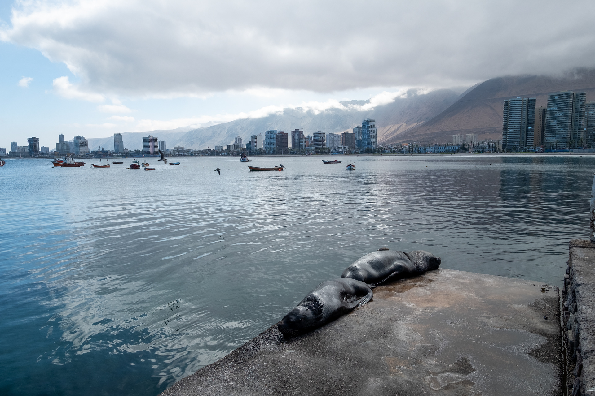 Peninsula Cavancha