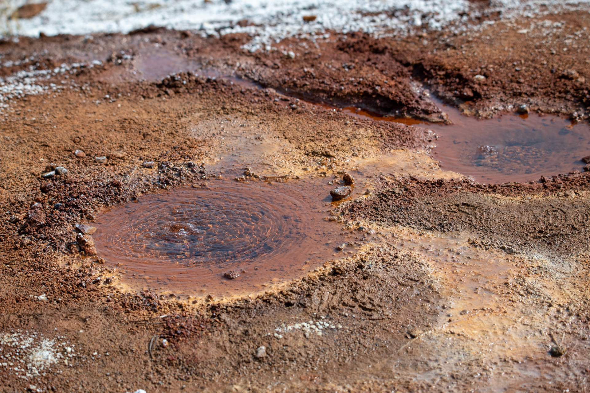 Yosemite - Soda Spring (agua con burbujitas) - Tuolumne Meadows