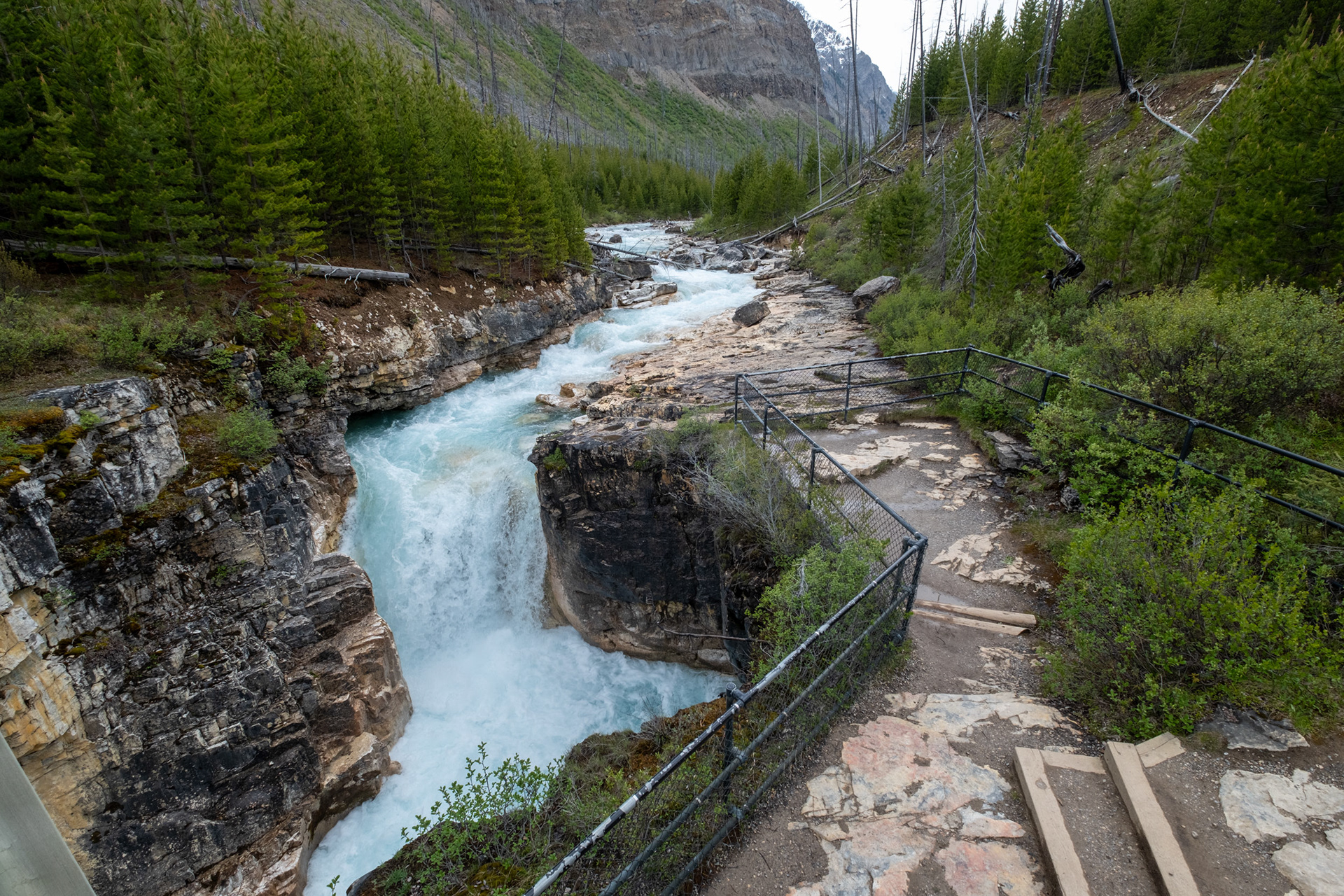 Marble Canyon (cañón) - Kootenai Nat. Park