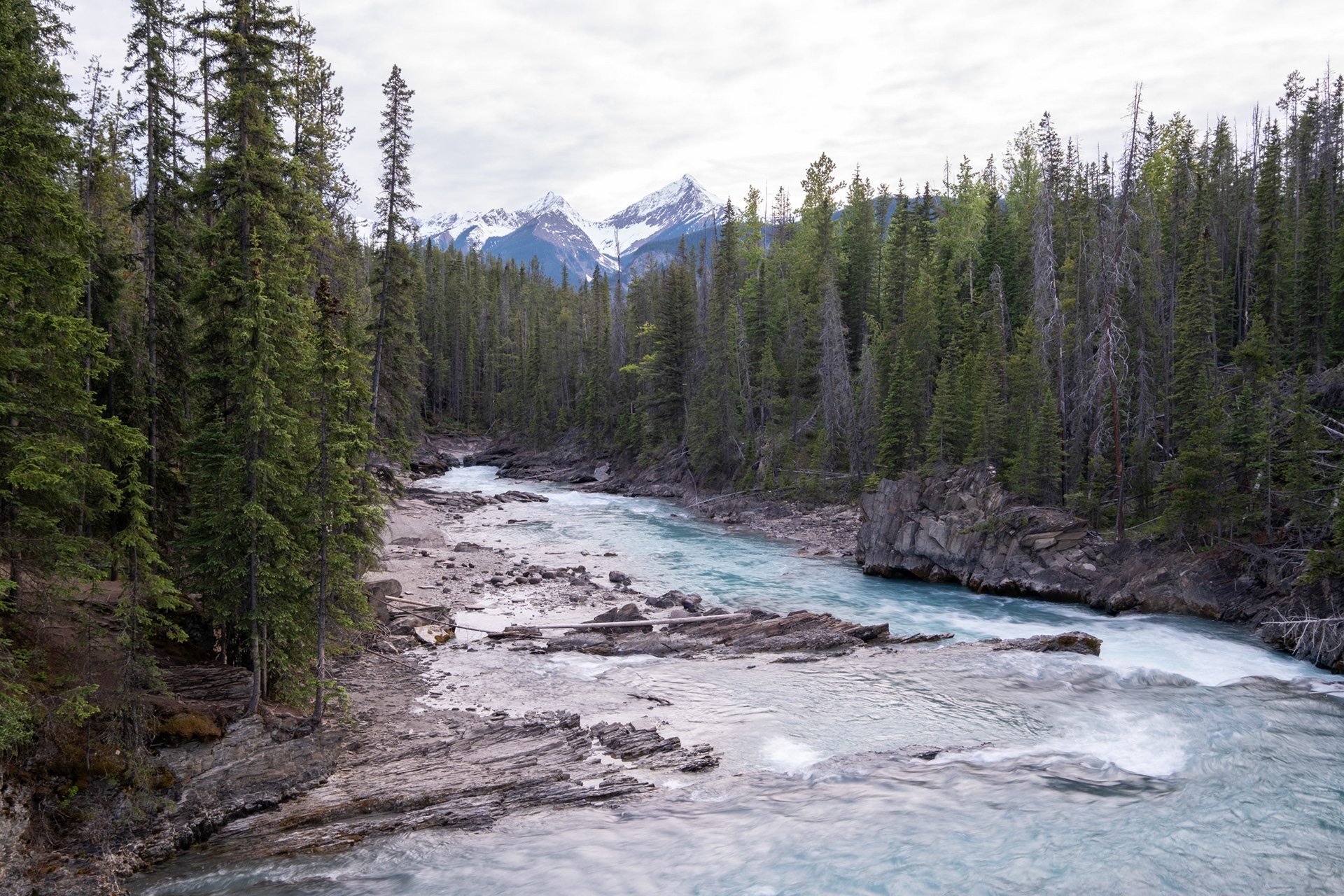 Ríos Yoho y Kicking Horse