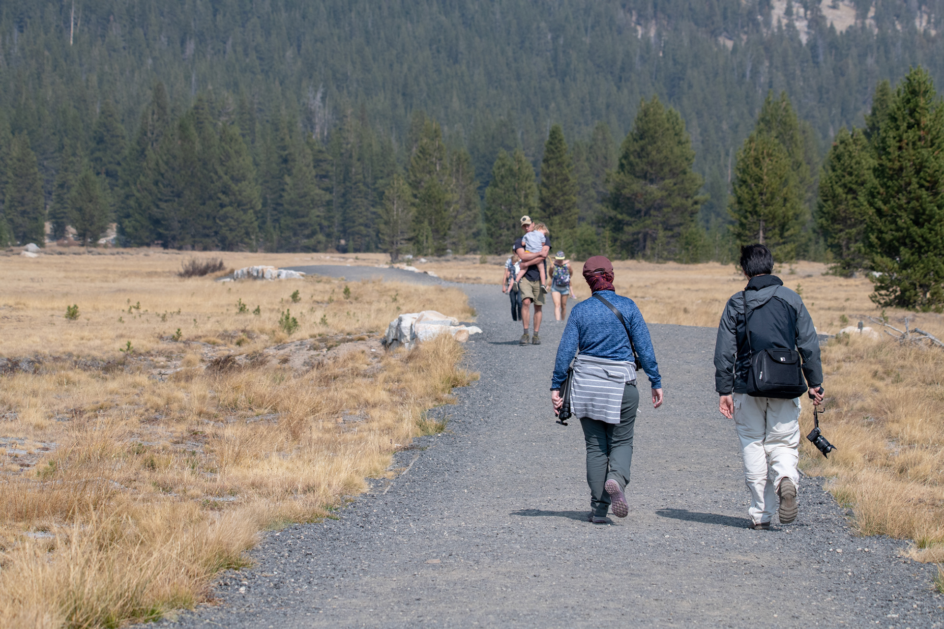 Yosemite - zona de Tuolumne Meadows