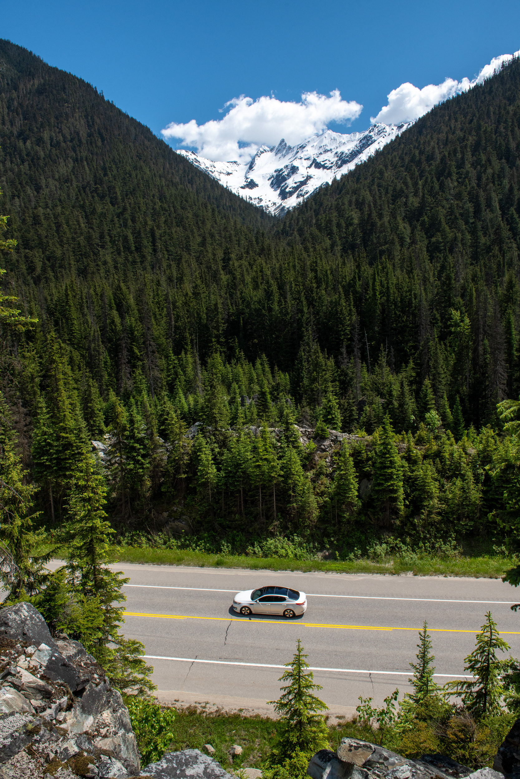 Glacier Nat. Park - "jardín de piedras" (rockgarden)