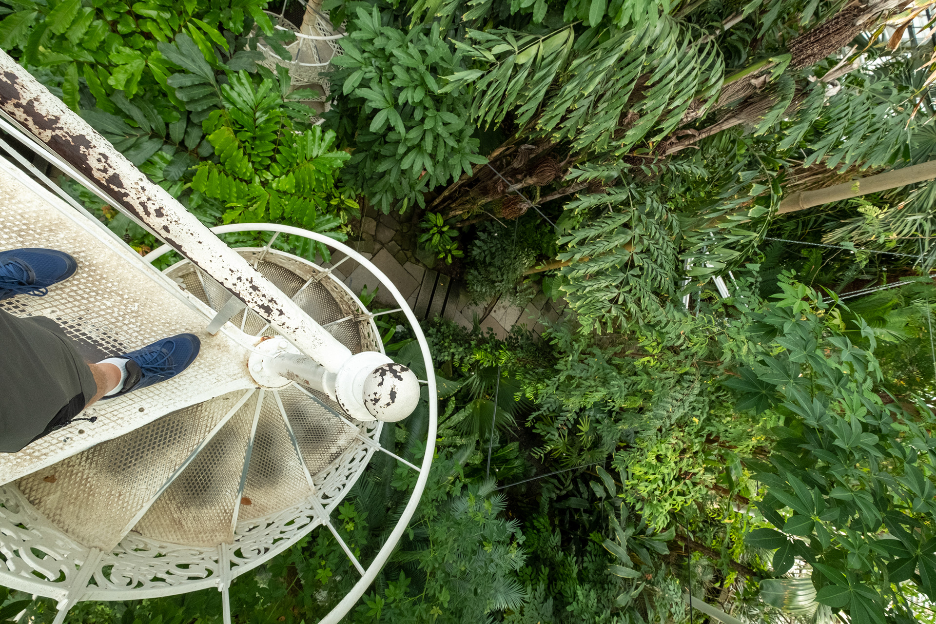 Jardín botánico - casa de palmeras