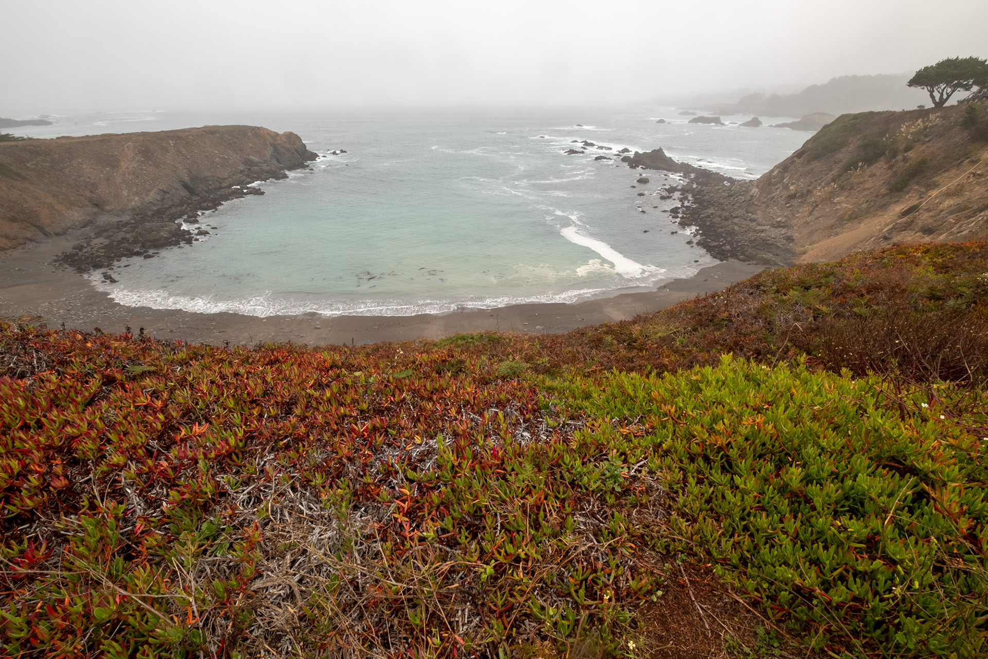 Costa de California, cerca de Mendocino
