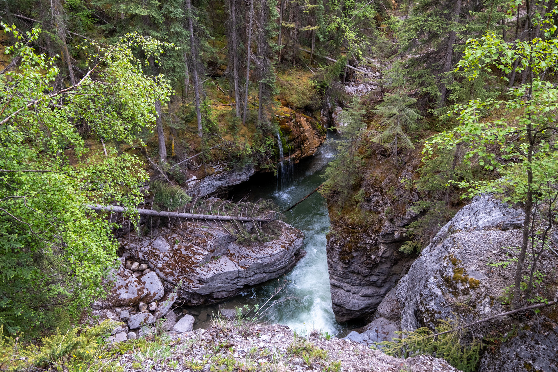 Cañón Maligne (Maligne canyon)