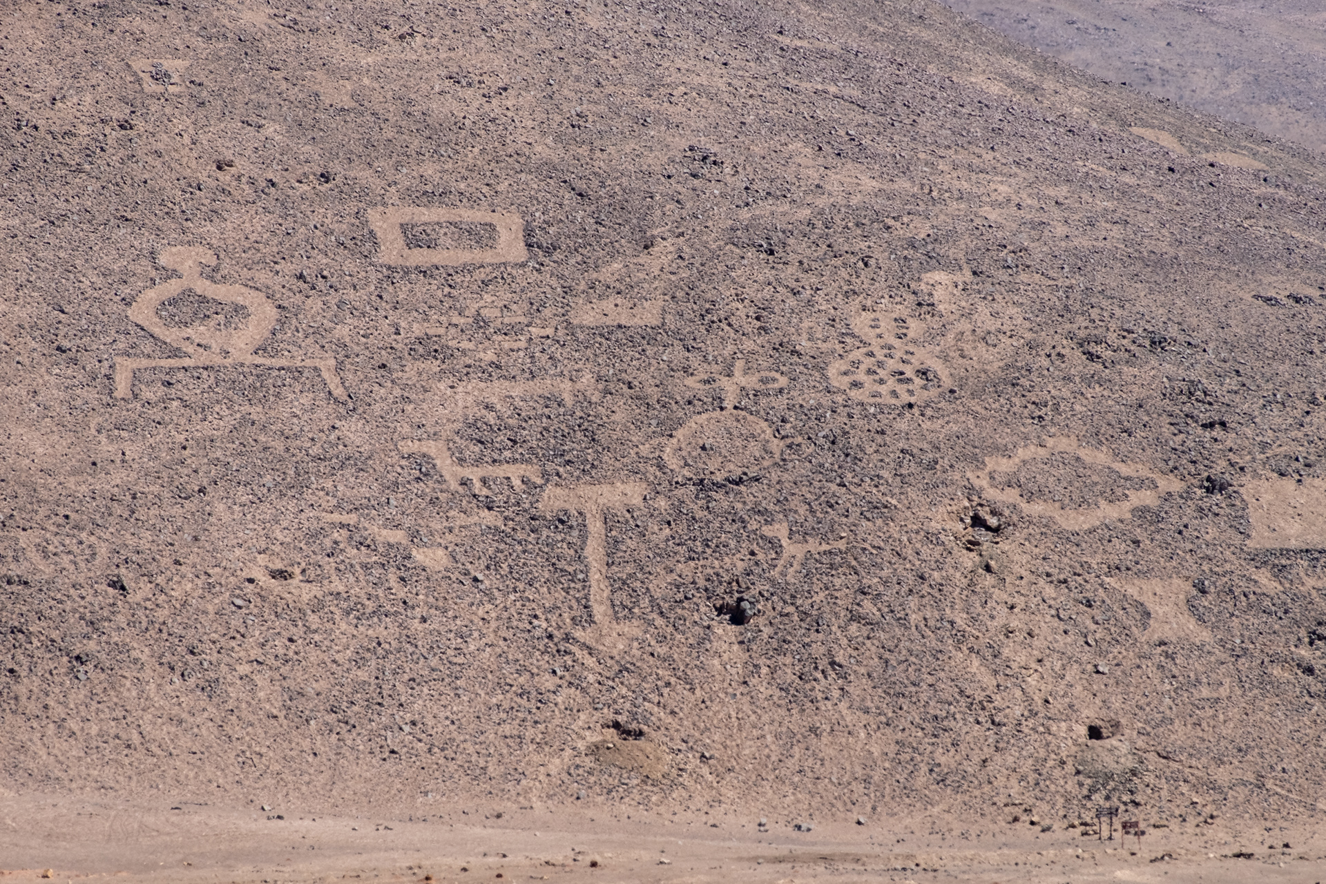 Geoglifos de Pintados