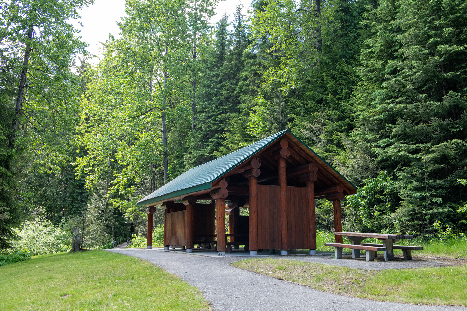 Hemlock Grove - bosque de Cedros