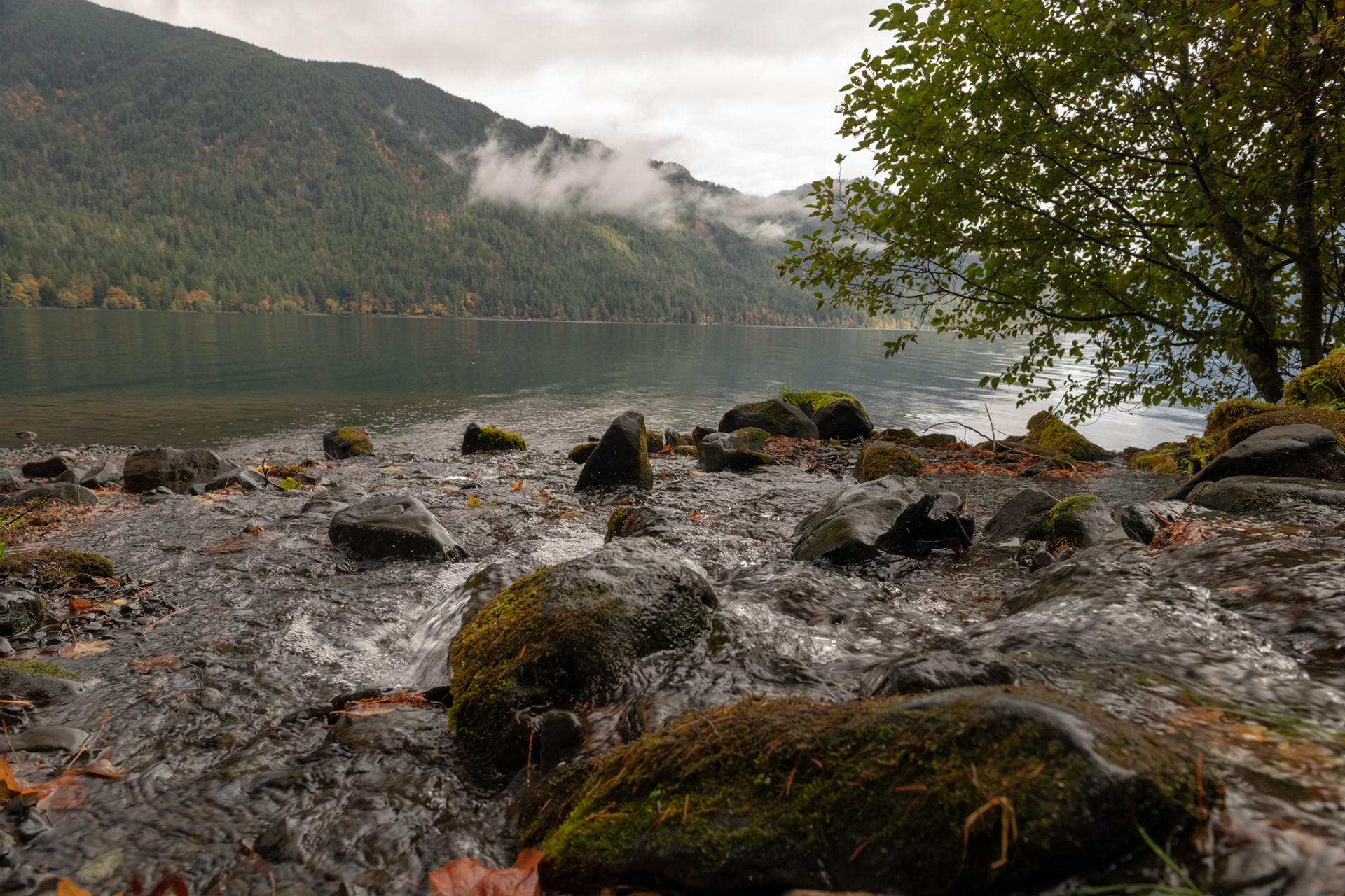 Lago Crescent, Olympic National Park, WA