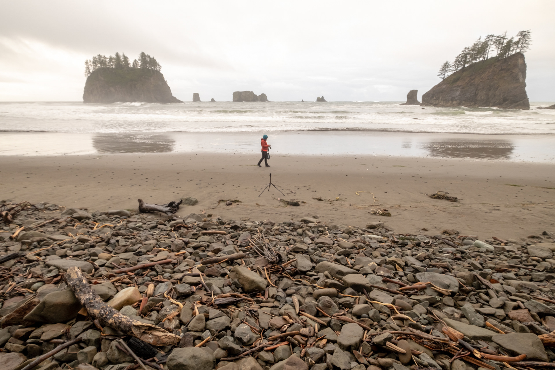 Second Beach, cerca de La Push, WA