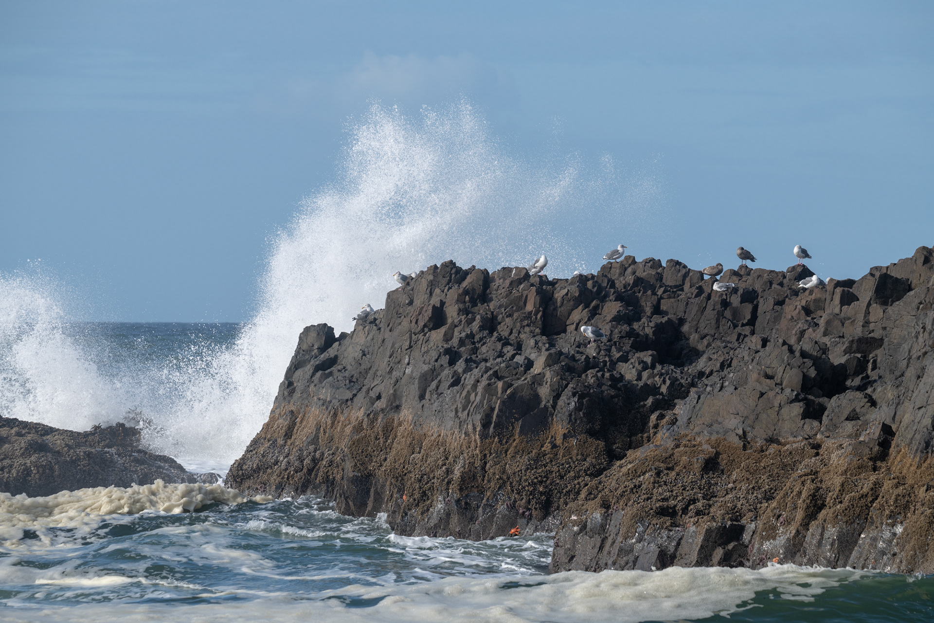 Seal Rock State Recreation Site