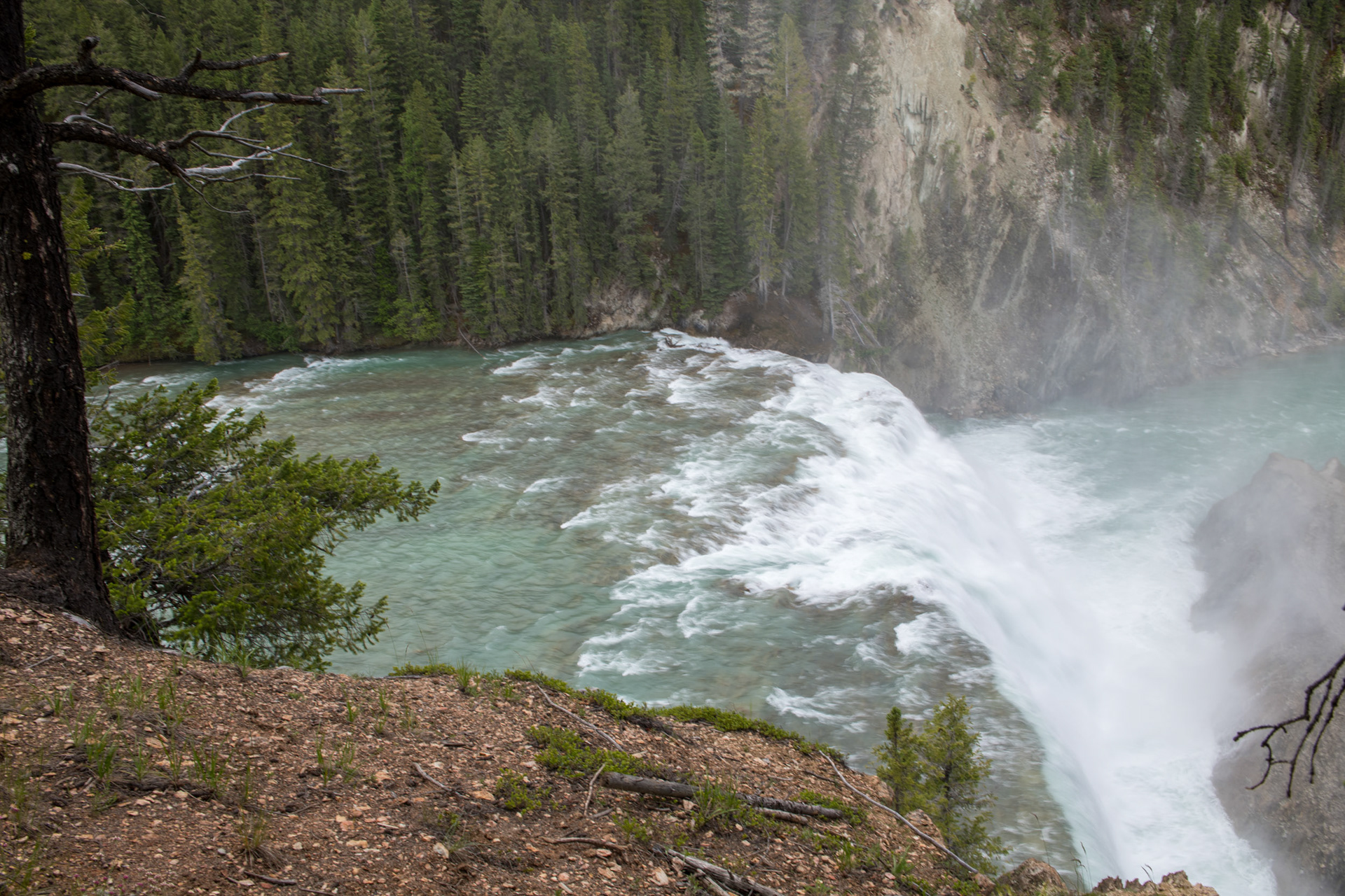 Cascada Wapta - Yoho Nat. Park