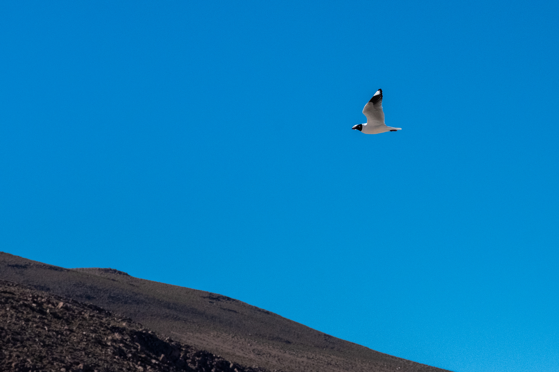 Salar del Huasco
