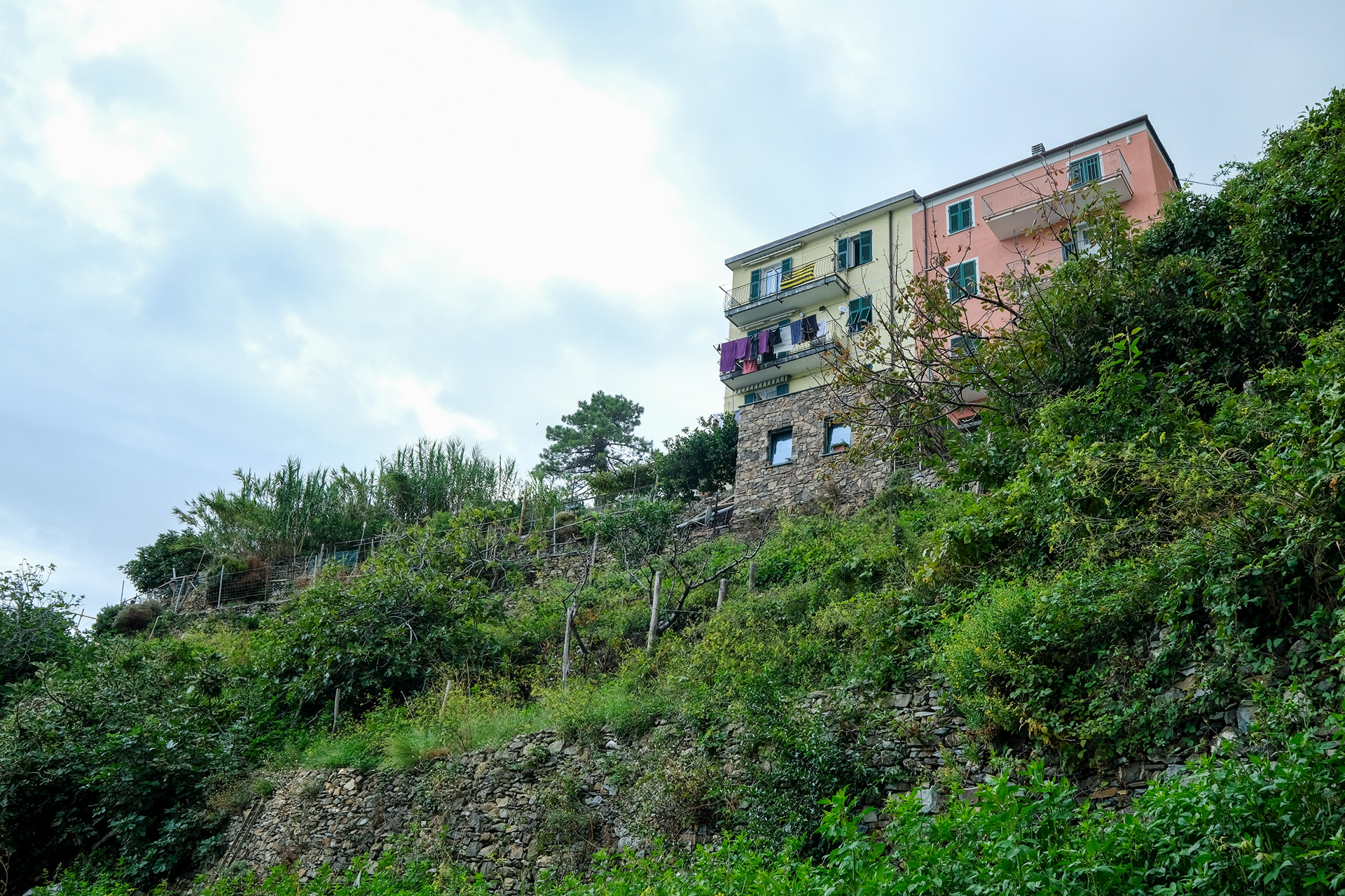 Corniglia - momento Peñarol