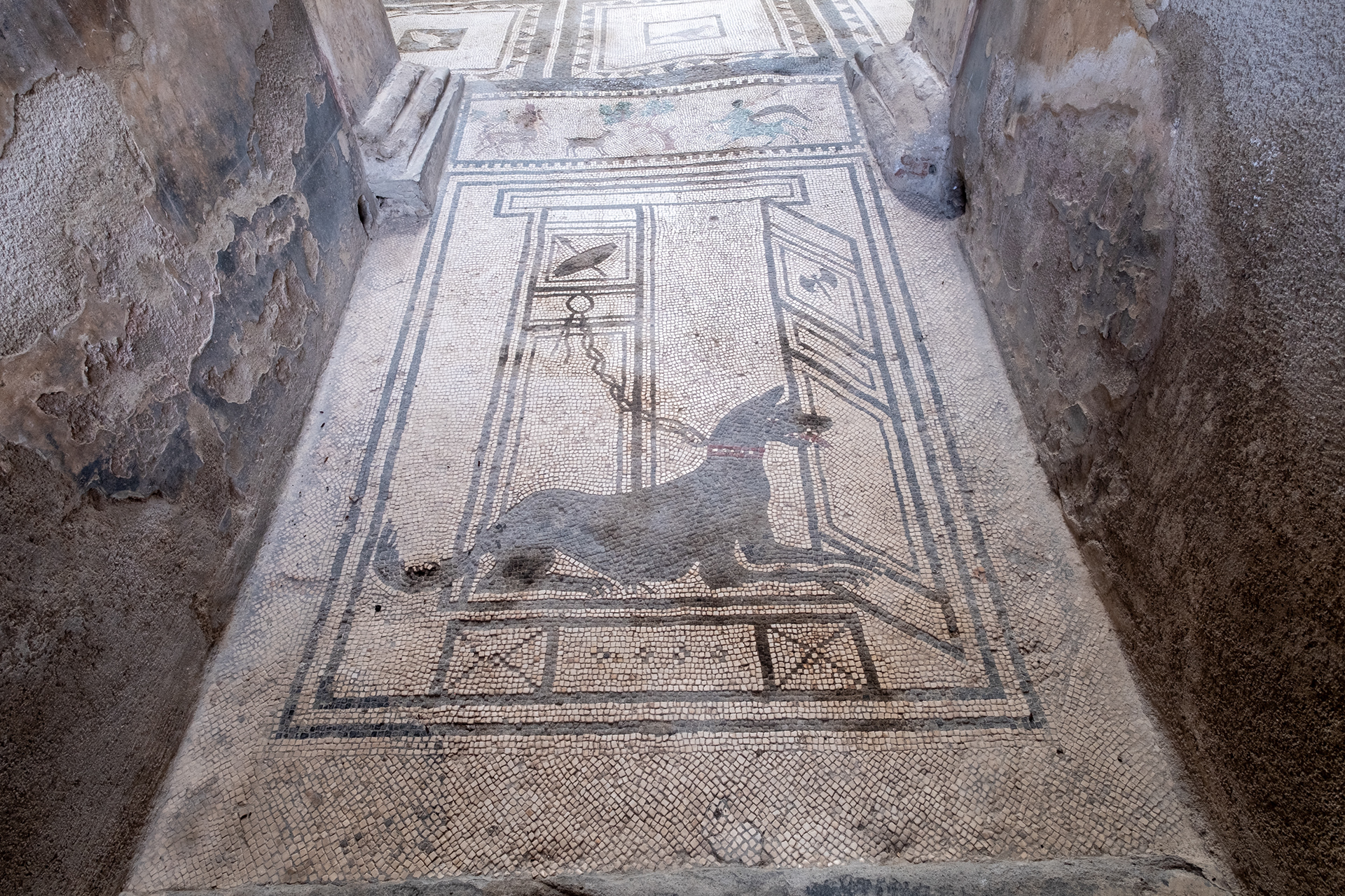 Pompeya - Casa di Fabius Amandio