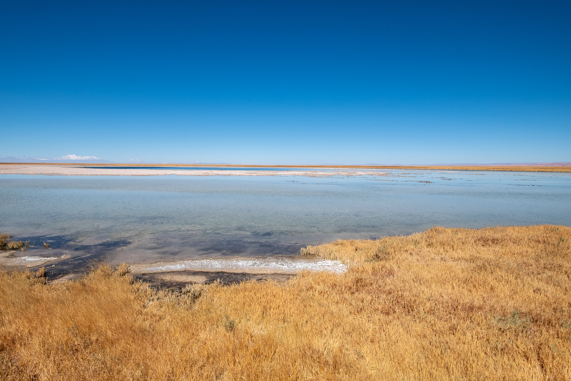 Laguna Cejar