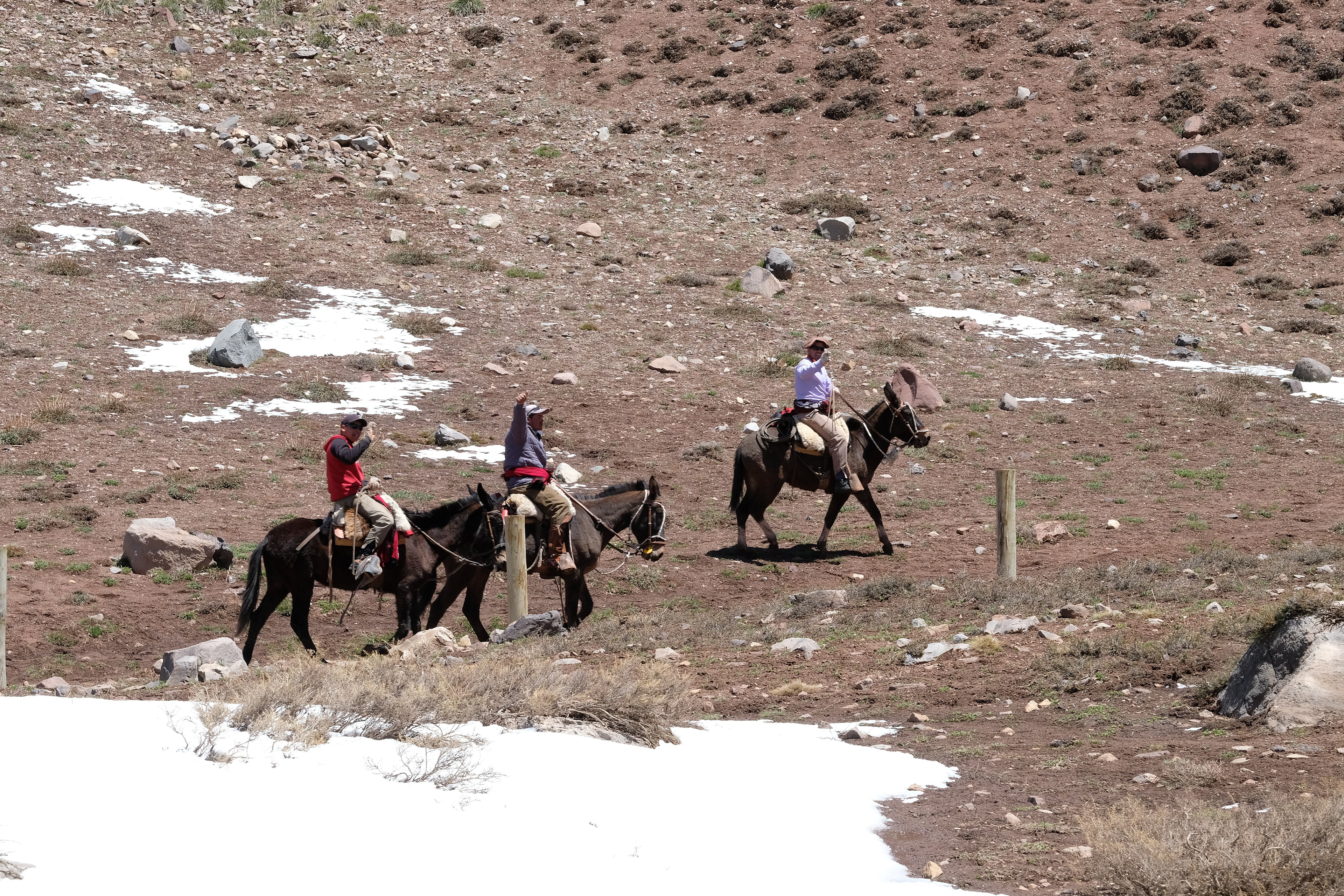 Parque Provincial Aconcagua