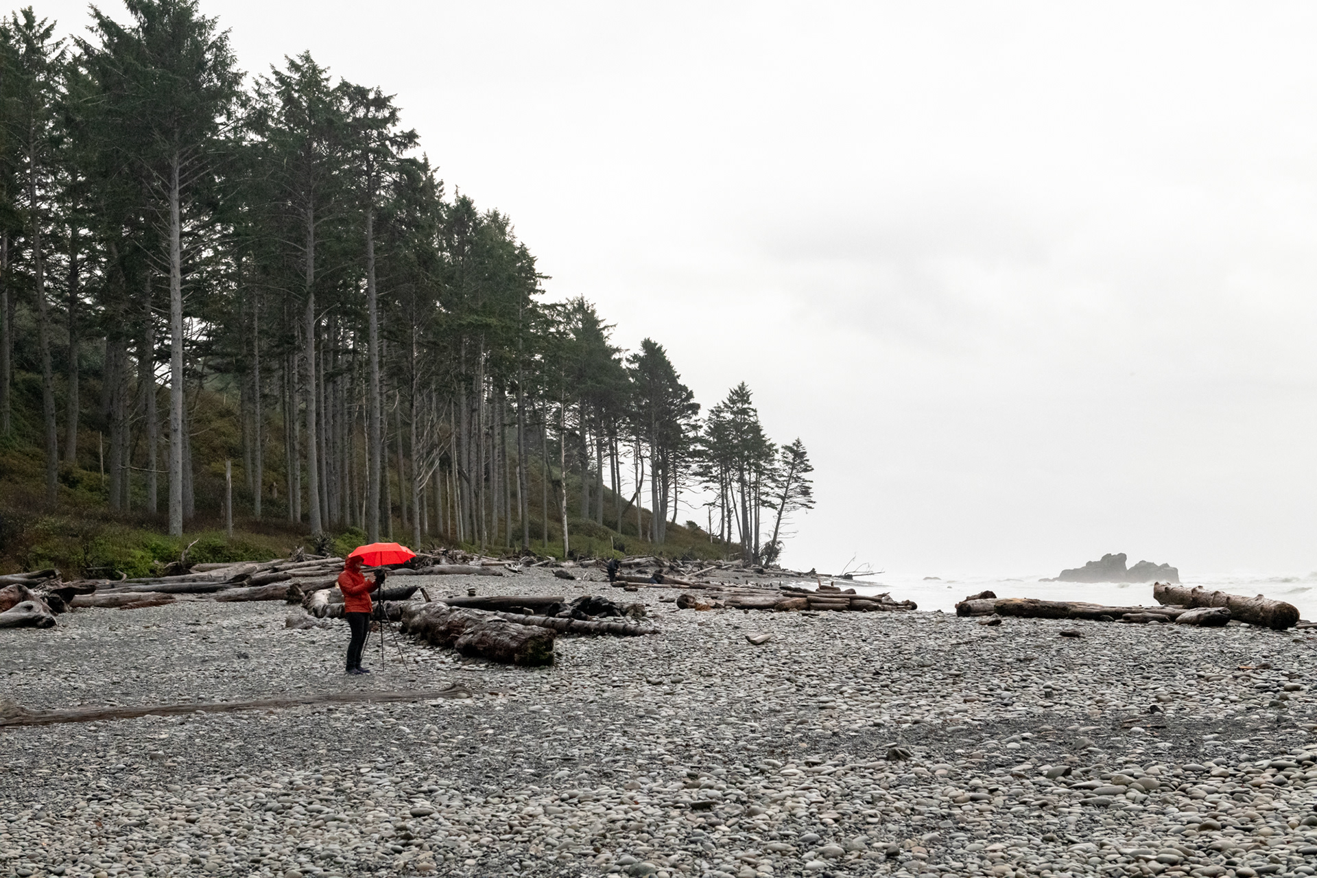 Ruby Beach - Kalaloch - Cedar creek