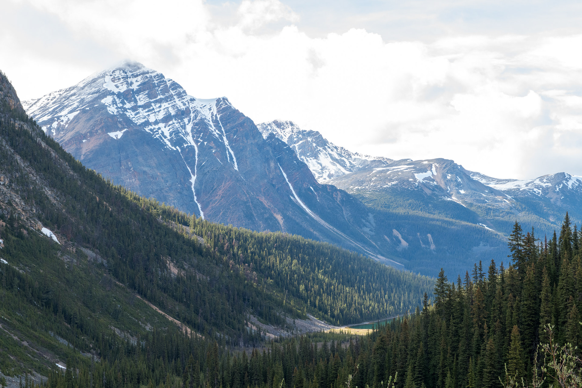 Trillo al Cavell pond (estanque)