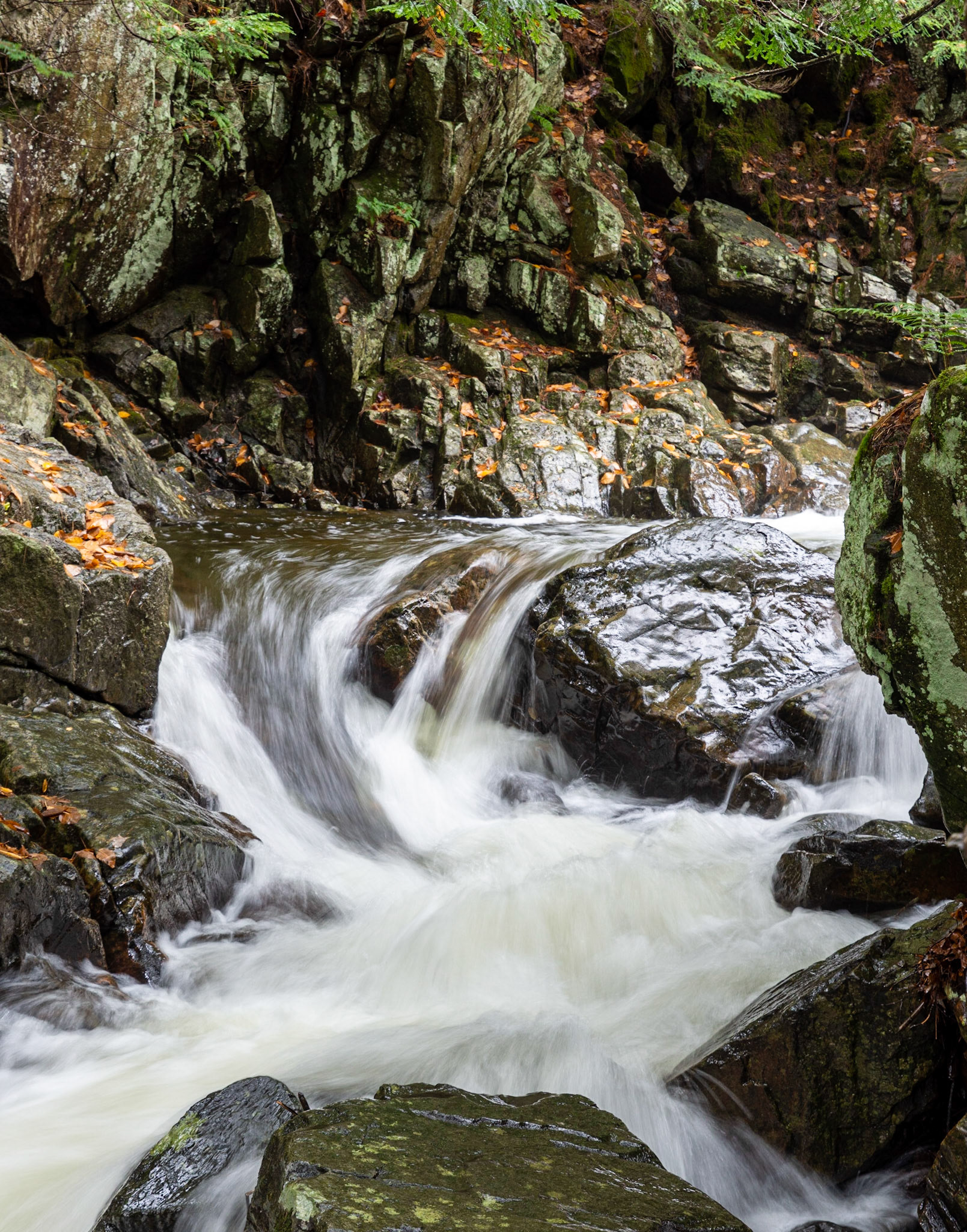 Shelving Rock Brook below the falls