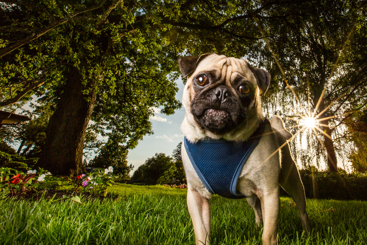 He insisted on his own shot after the family session
