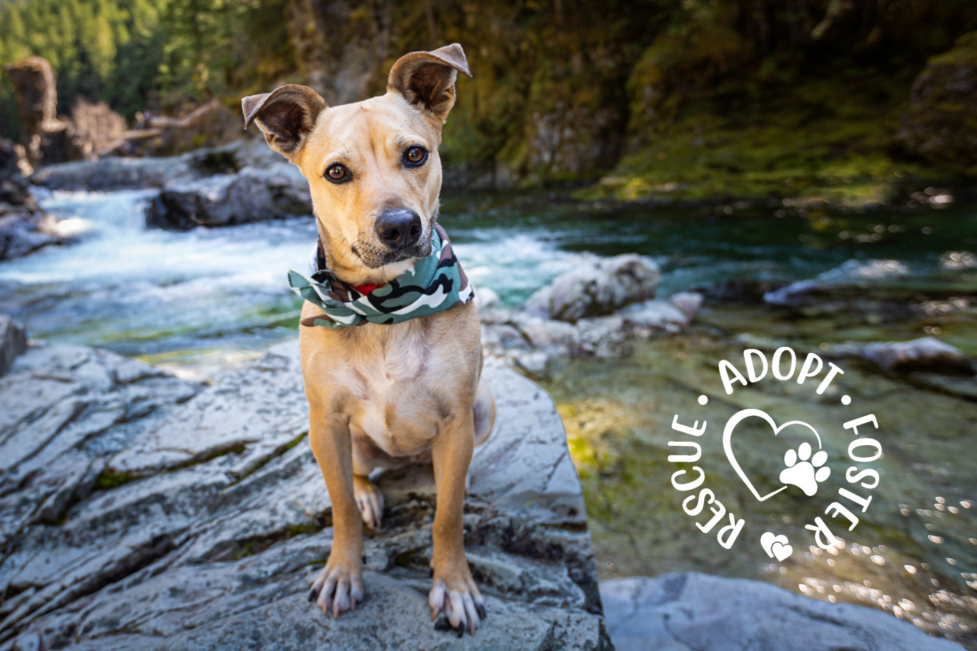 From the streets of Texas, Mia found her family here in Oregon