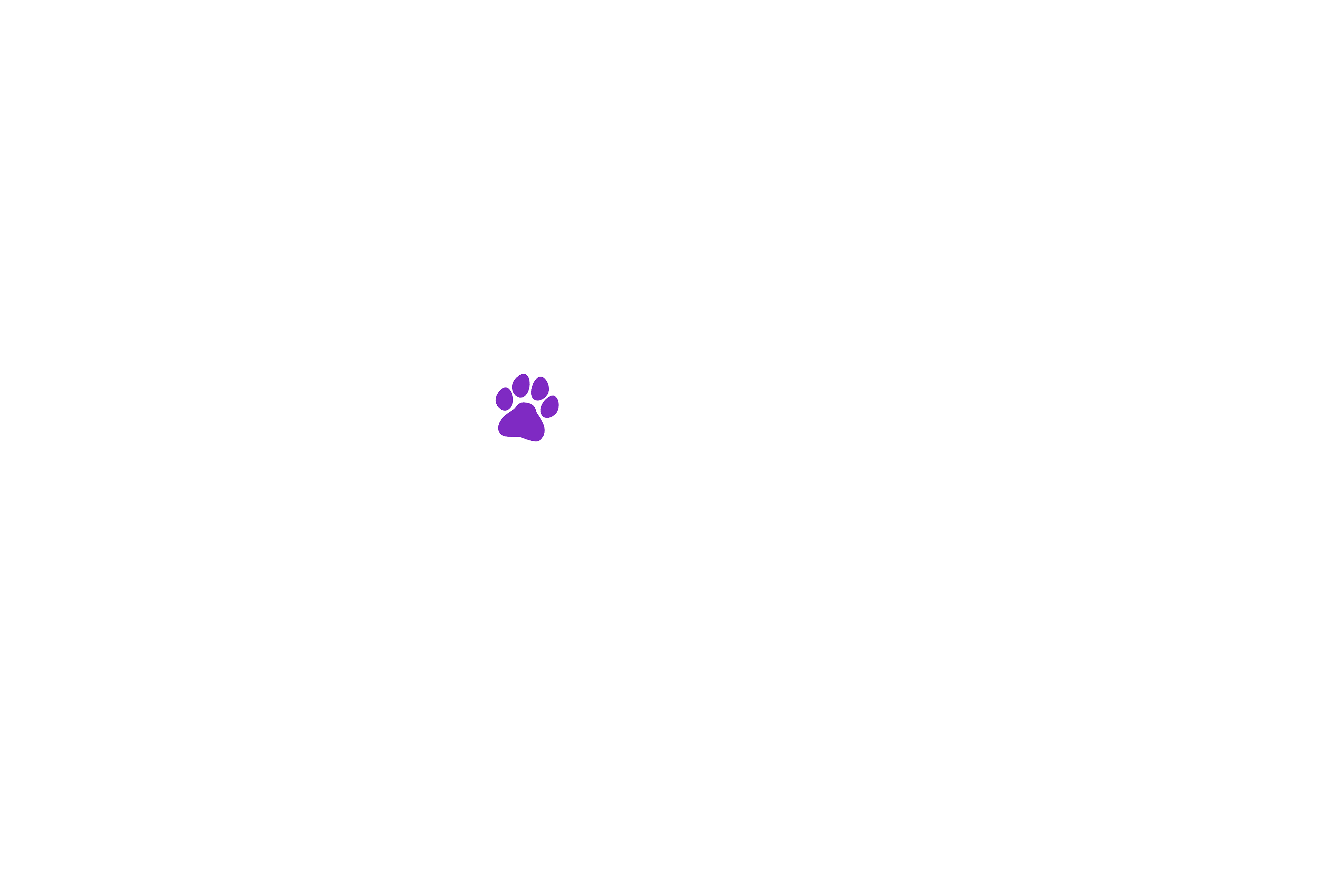 Lori Cegon