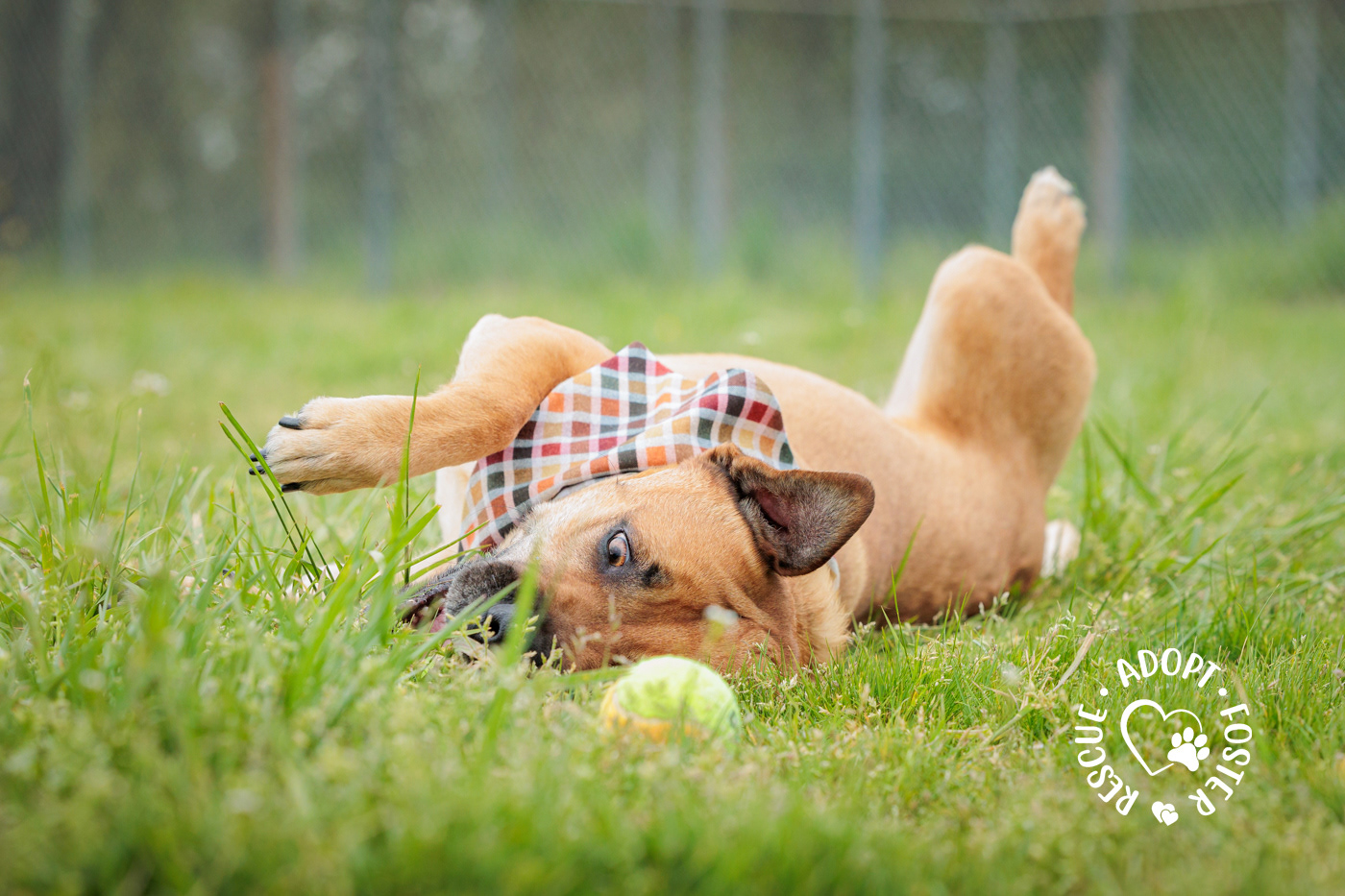 Shelter playtime