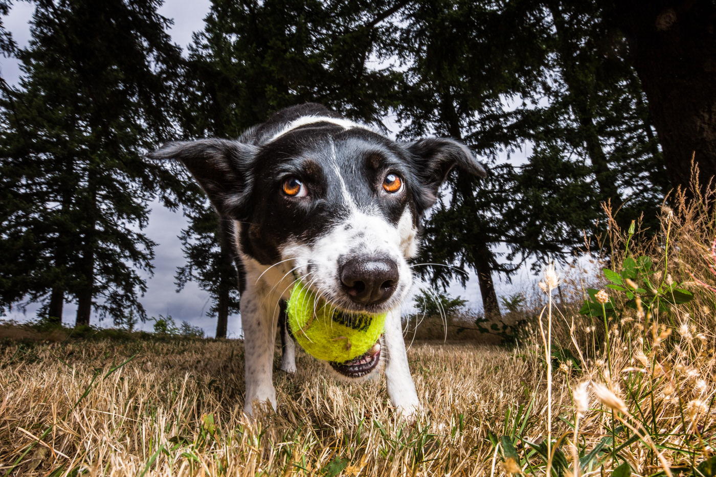 My ball is part of who I am
