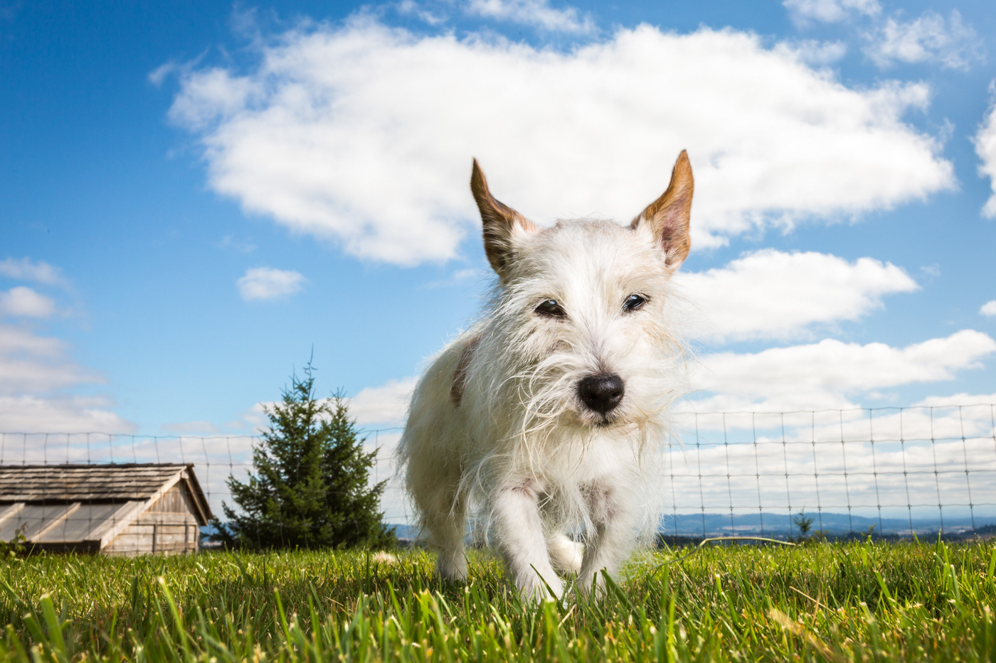 Masggie enjoying the beauty of her family property, at 18 years