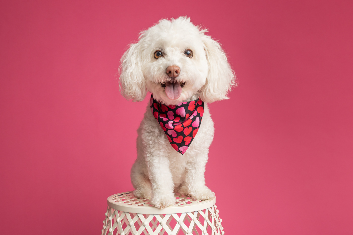 Cloe pretty in pink