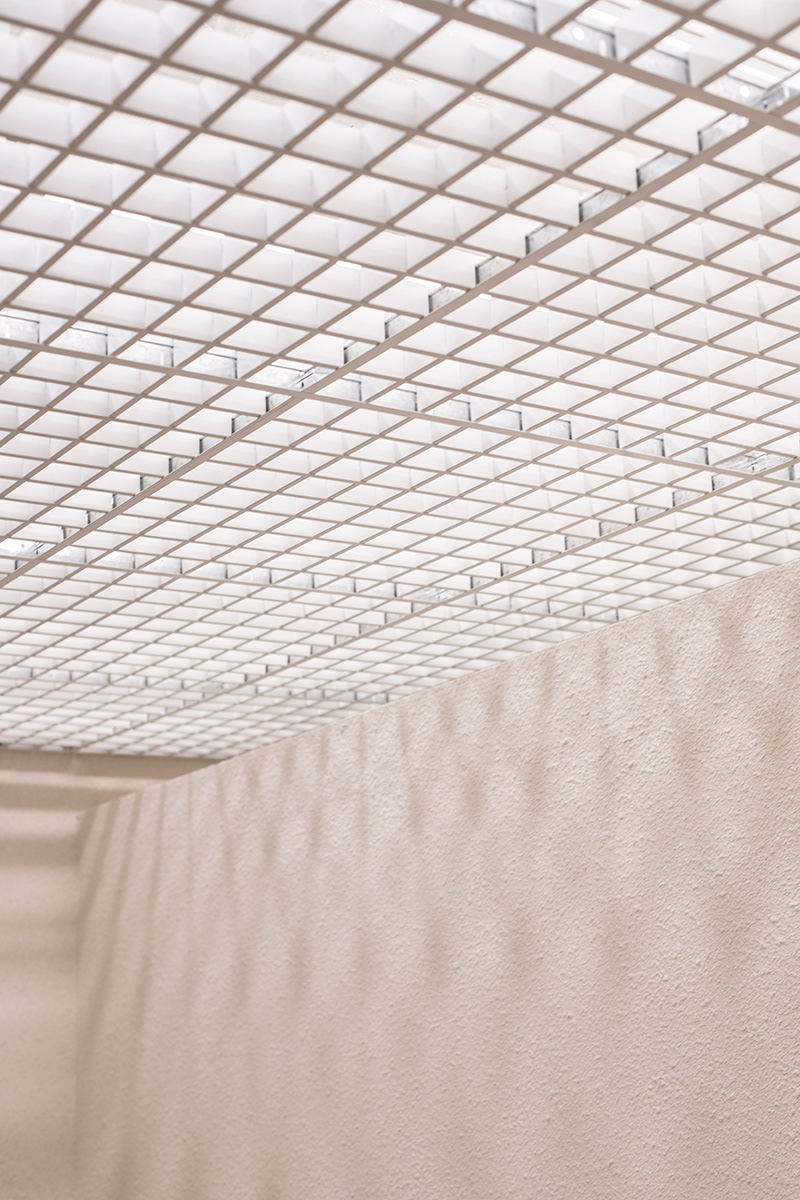 VANG - BLUE SHEEP 2022