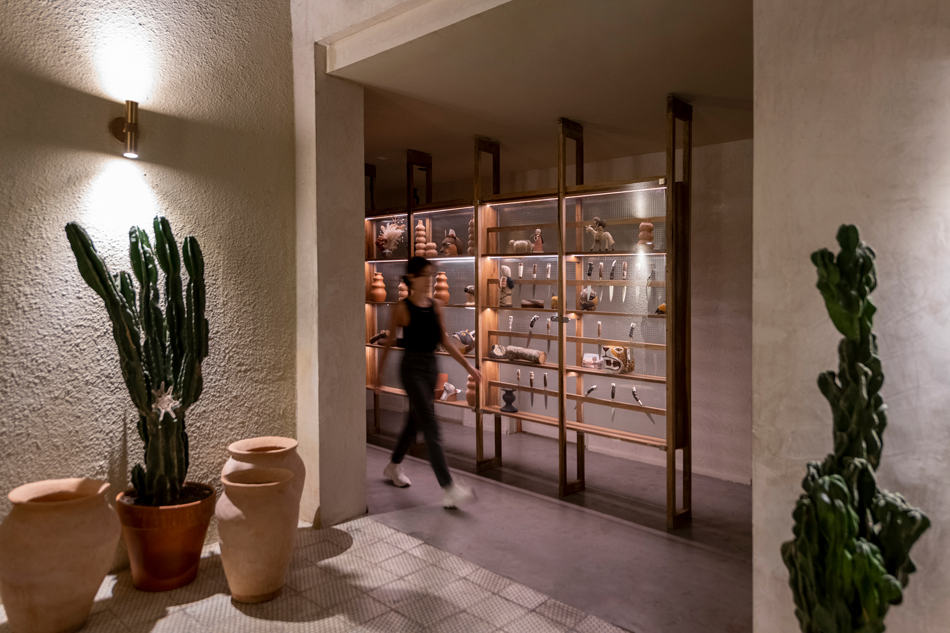 ESTUDIO RIPANI - FOGON 2023