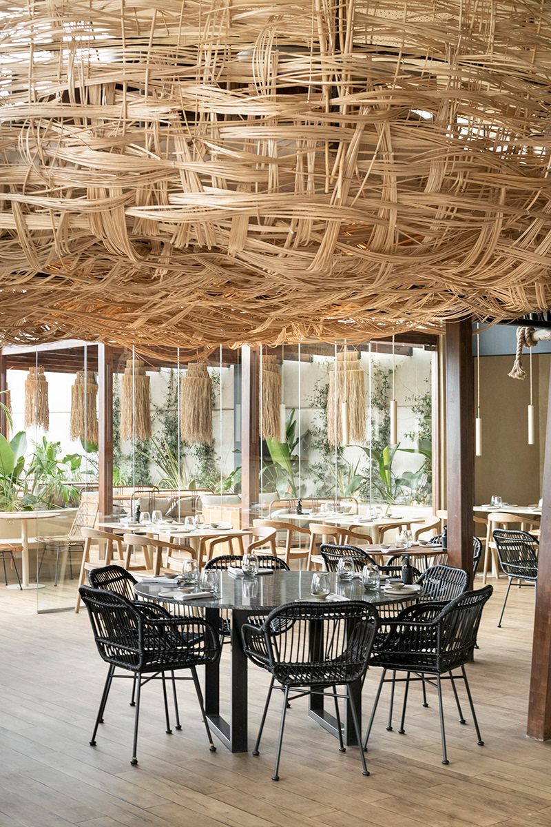 ESTUDIO RIPANI - FABRIC 2023