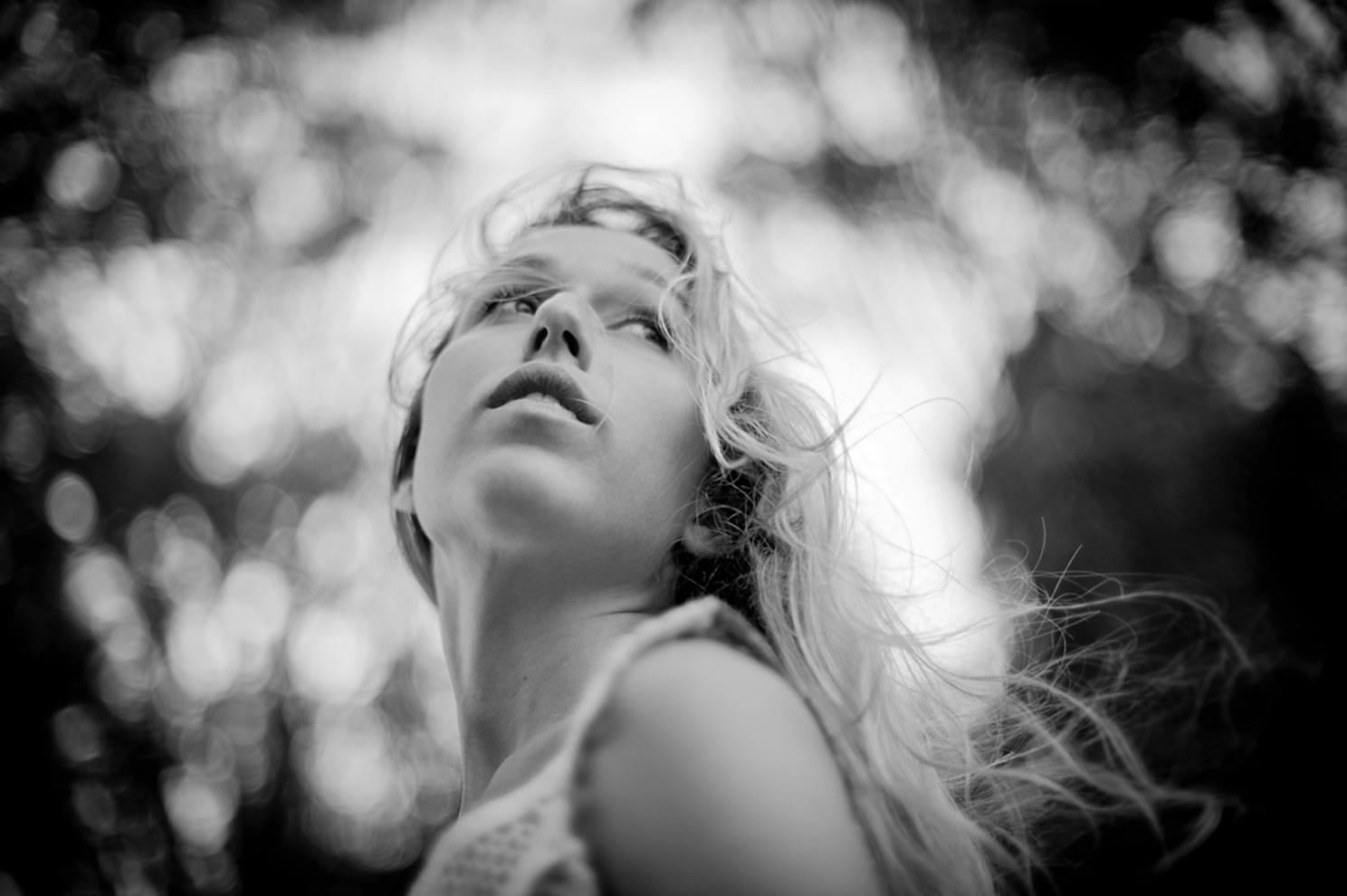 FLOR