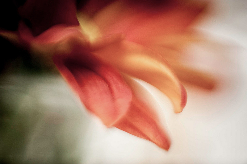 MACRO