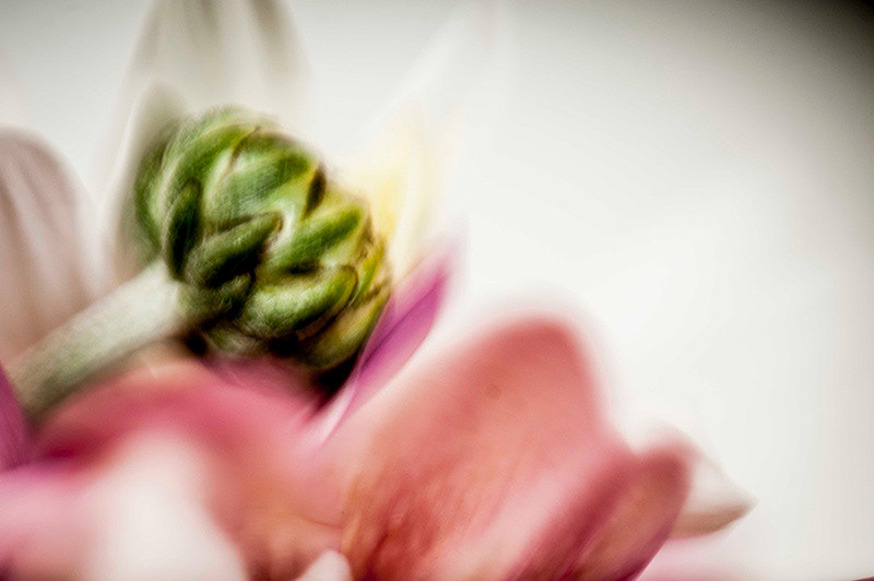 MACRO